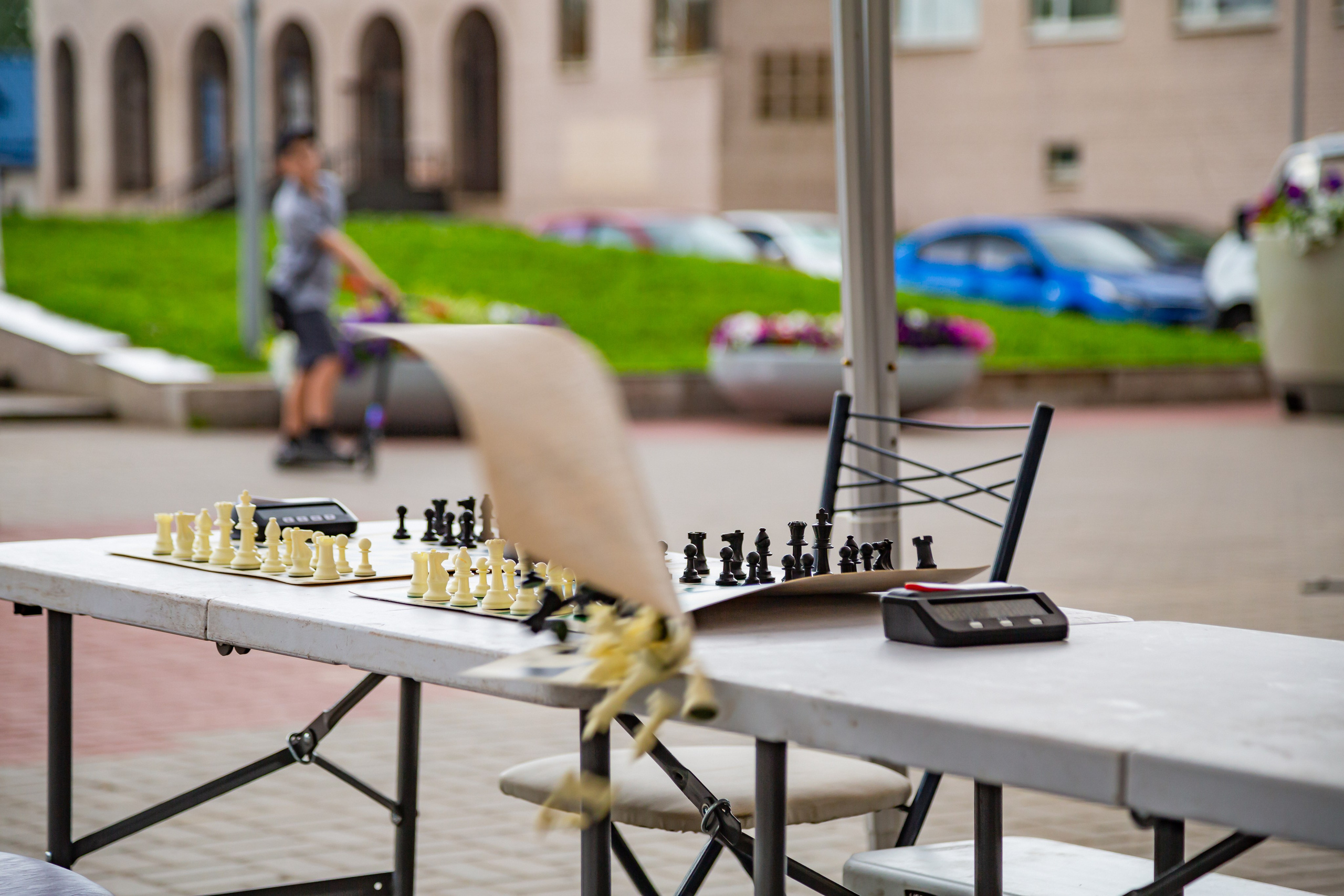 Шахматный турнир в Шушарах Санкт-Петербург. Светлая сторона