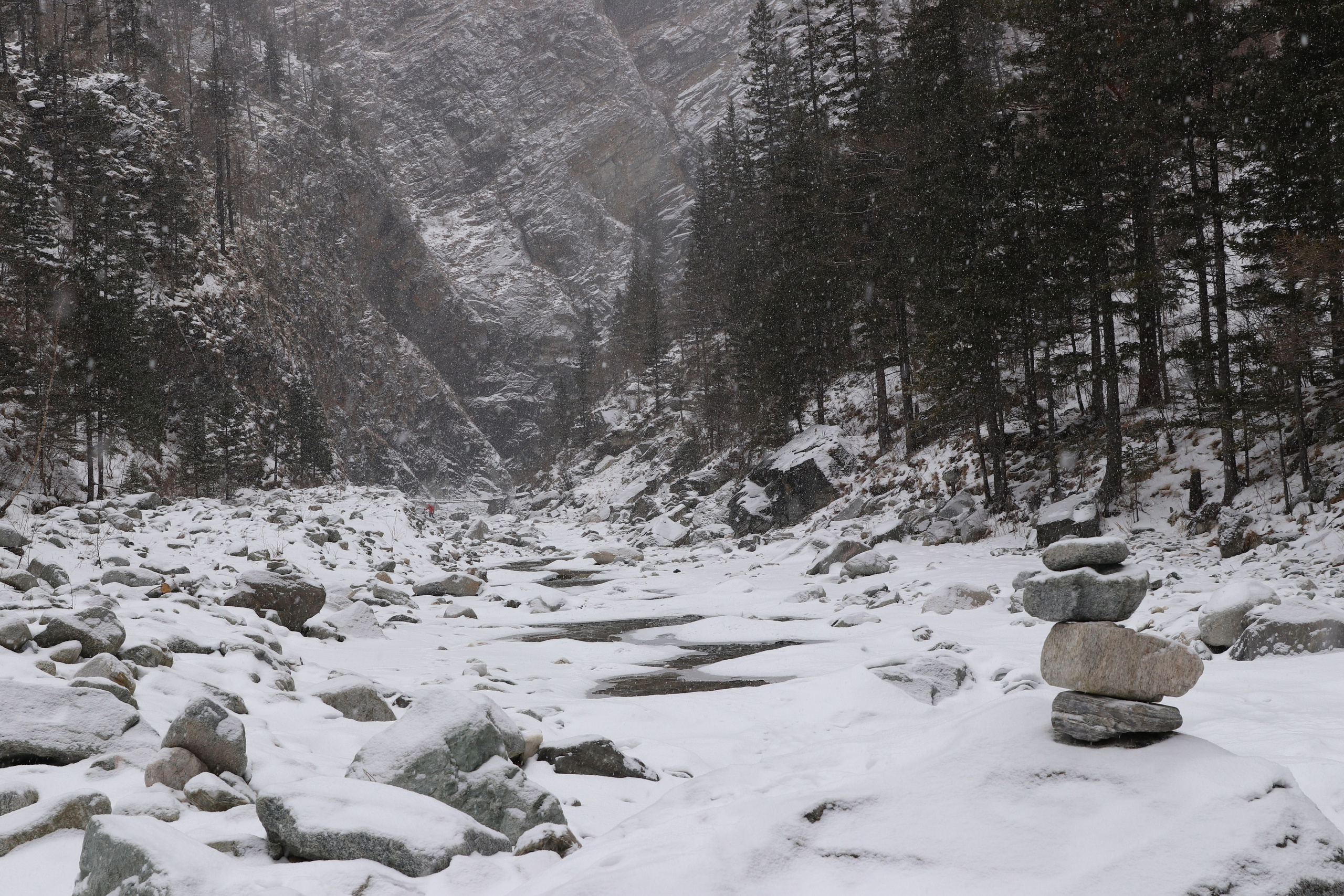 Аршан. Январь 2024. Путешественник-фотограф из Санкт-Петербурга Татьяна Свистулина