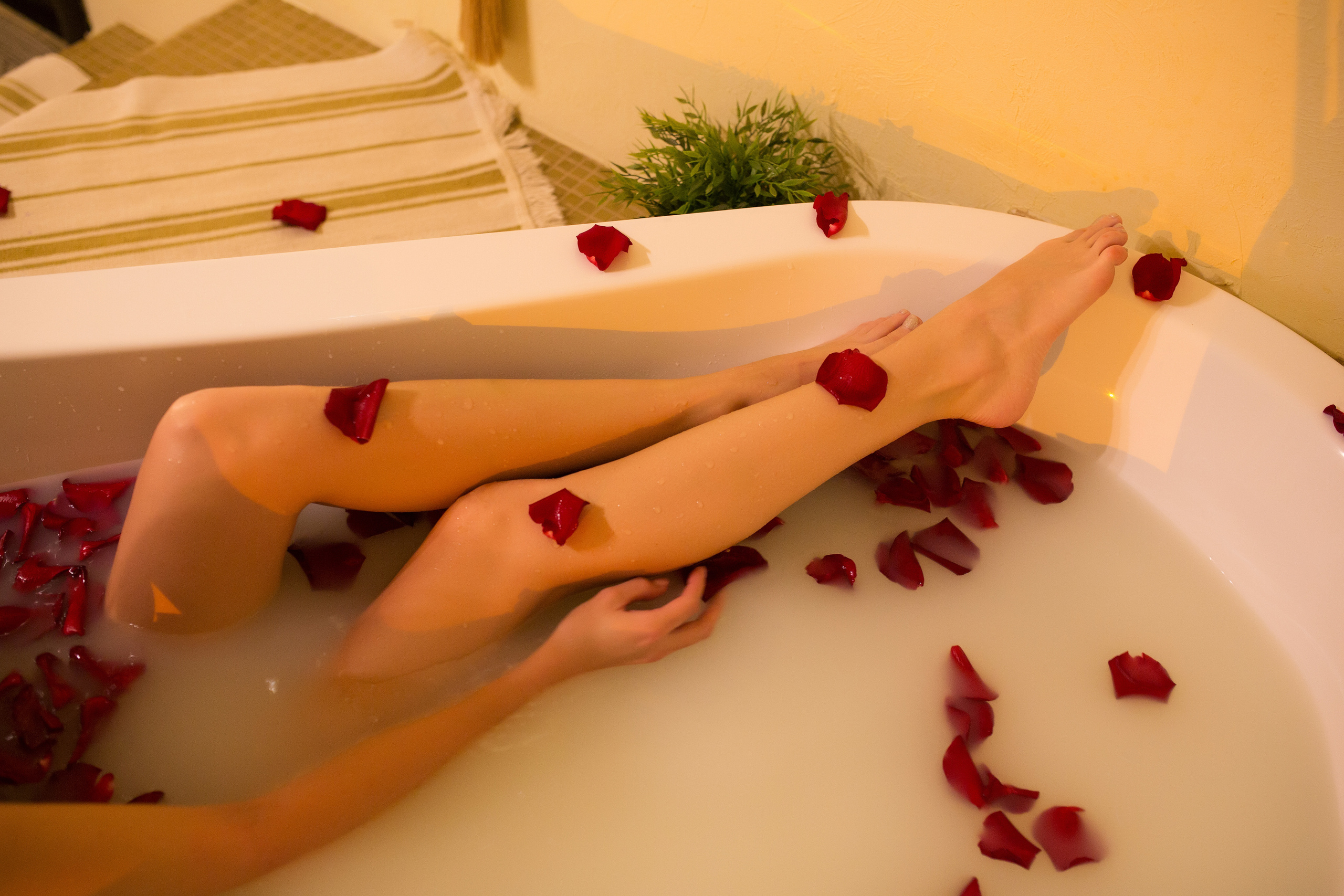 Органик. Портфолио