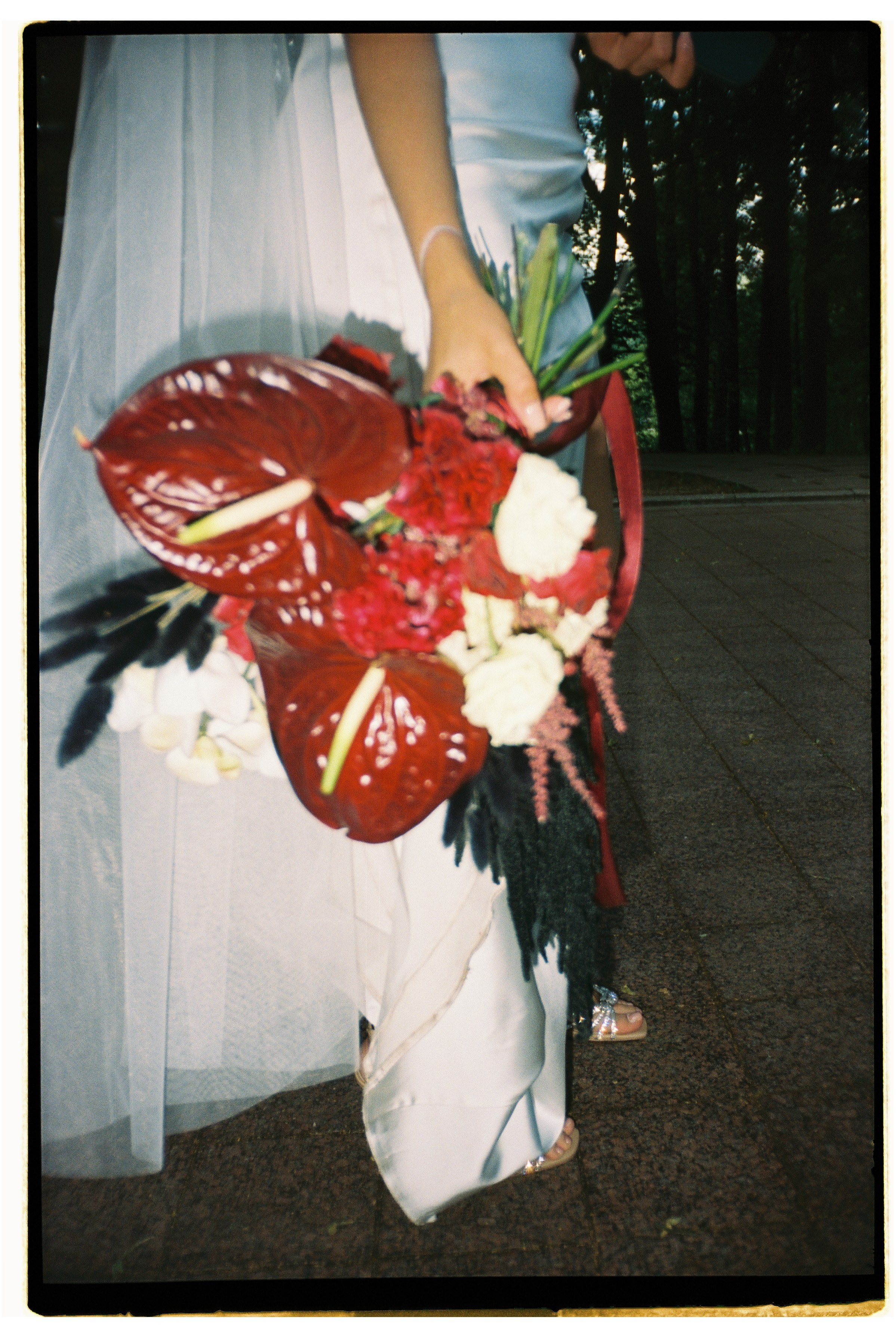 Пленка. Свадебный фотограф Светлана Кривчикова