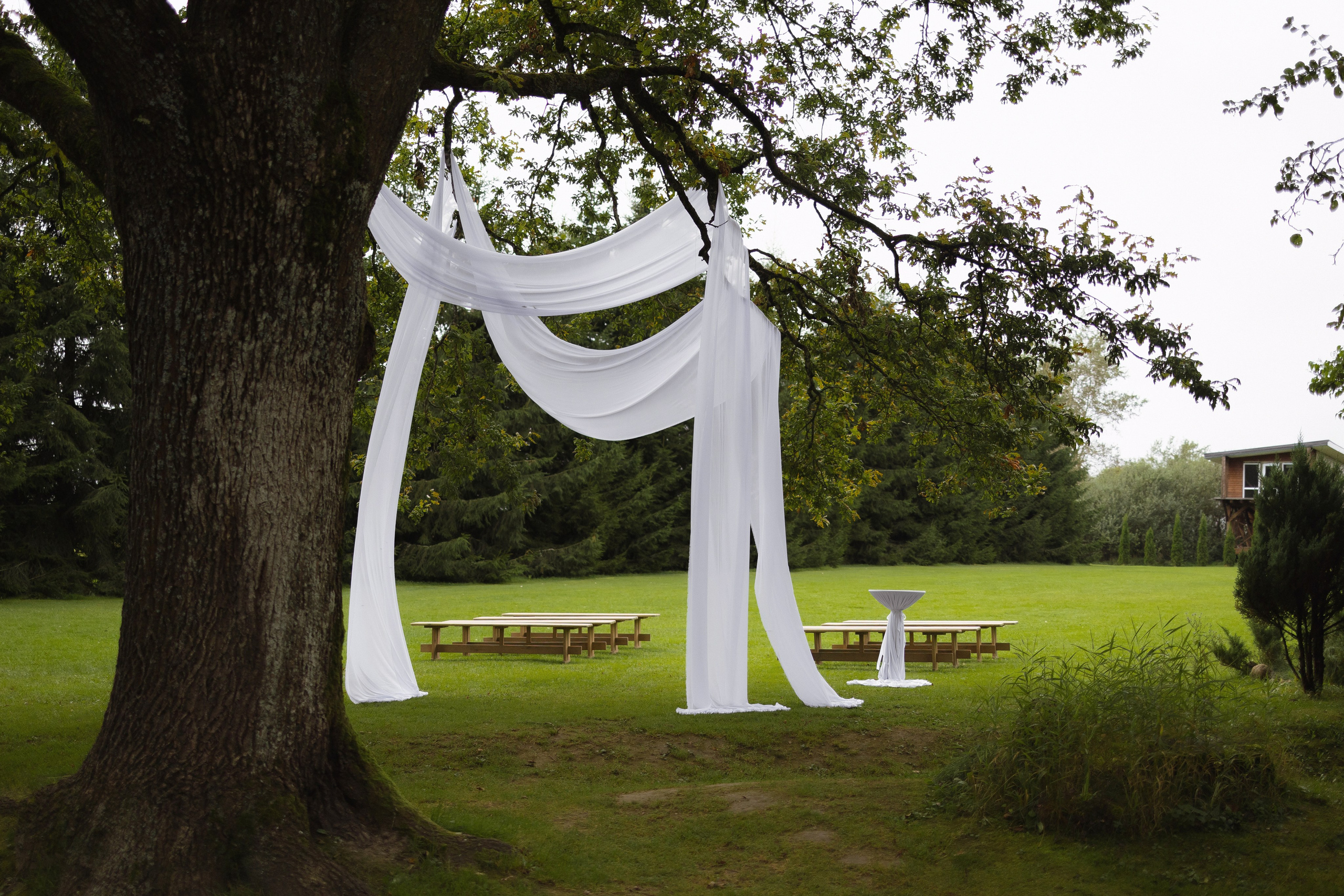 P&V. Свадебный фотограф Лиза Макатович Беларусь Минск