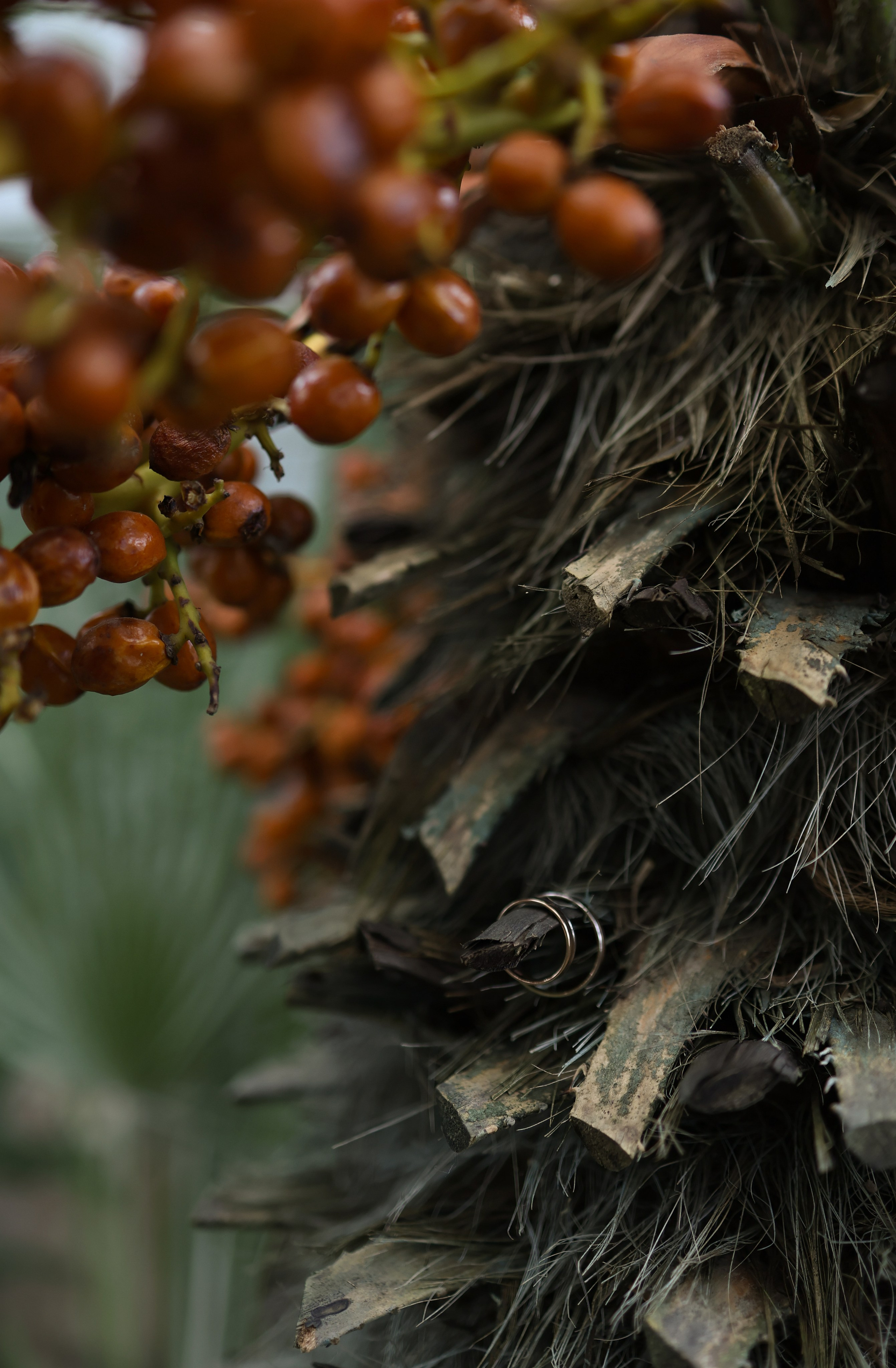 Алексей и Ксения. Фотограф и видеограф в Москве Полина Абраменкова