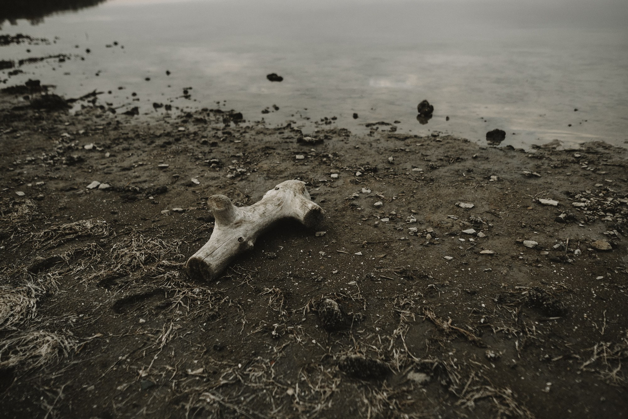 КРЕСТНАЯ СЕМЬЯ. Свадебный фотограф в Ставрополе Сергей Шляхов