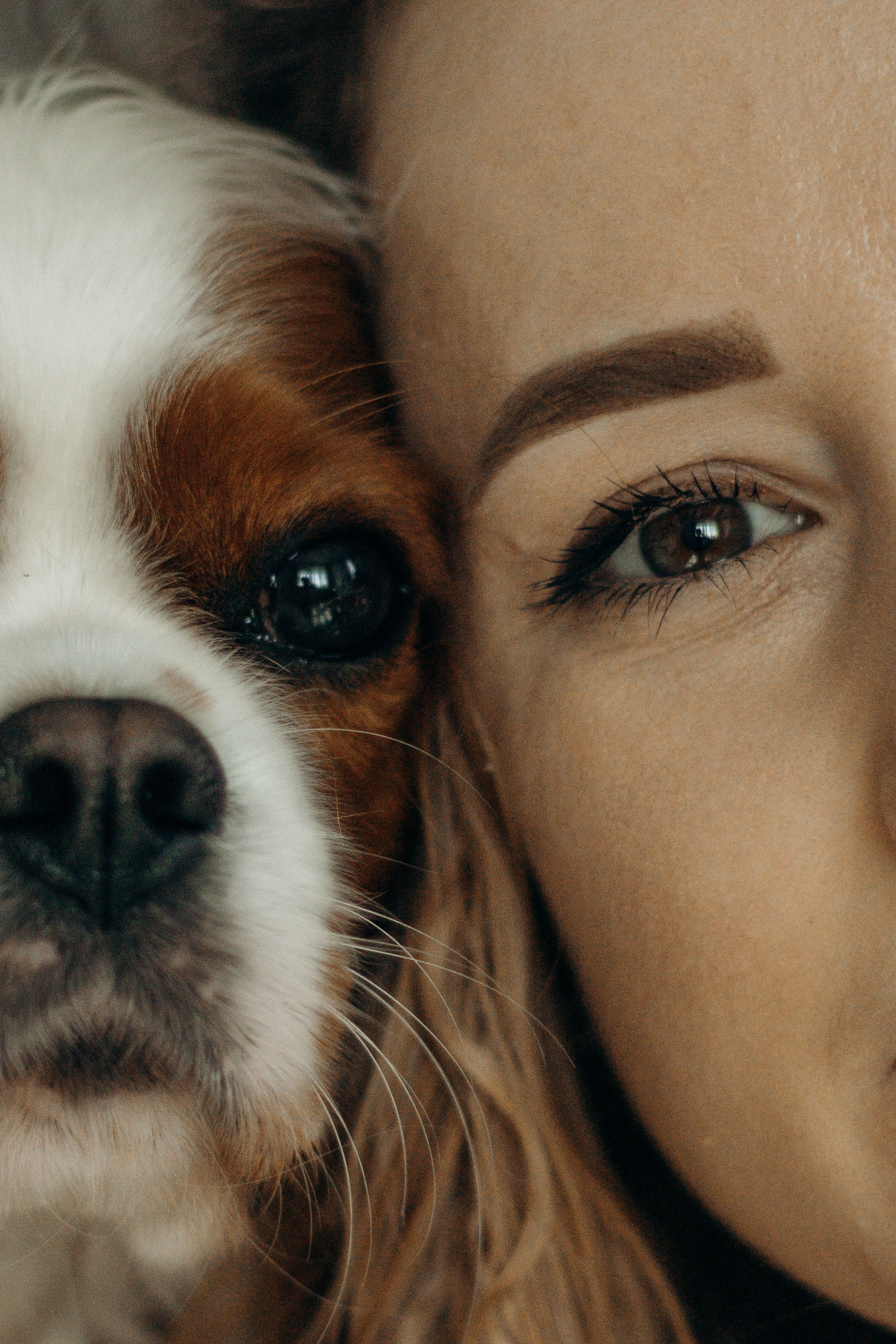 Надя и Лали. Фотограф-анималист в Санкт-Петербурге