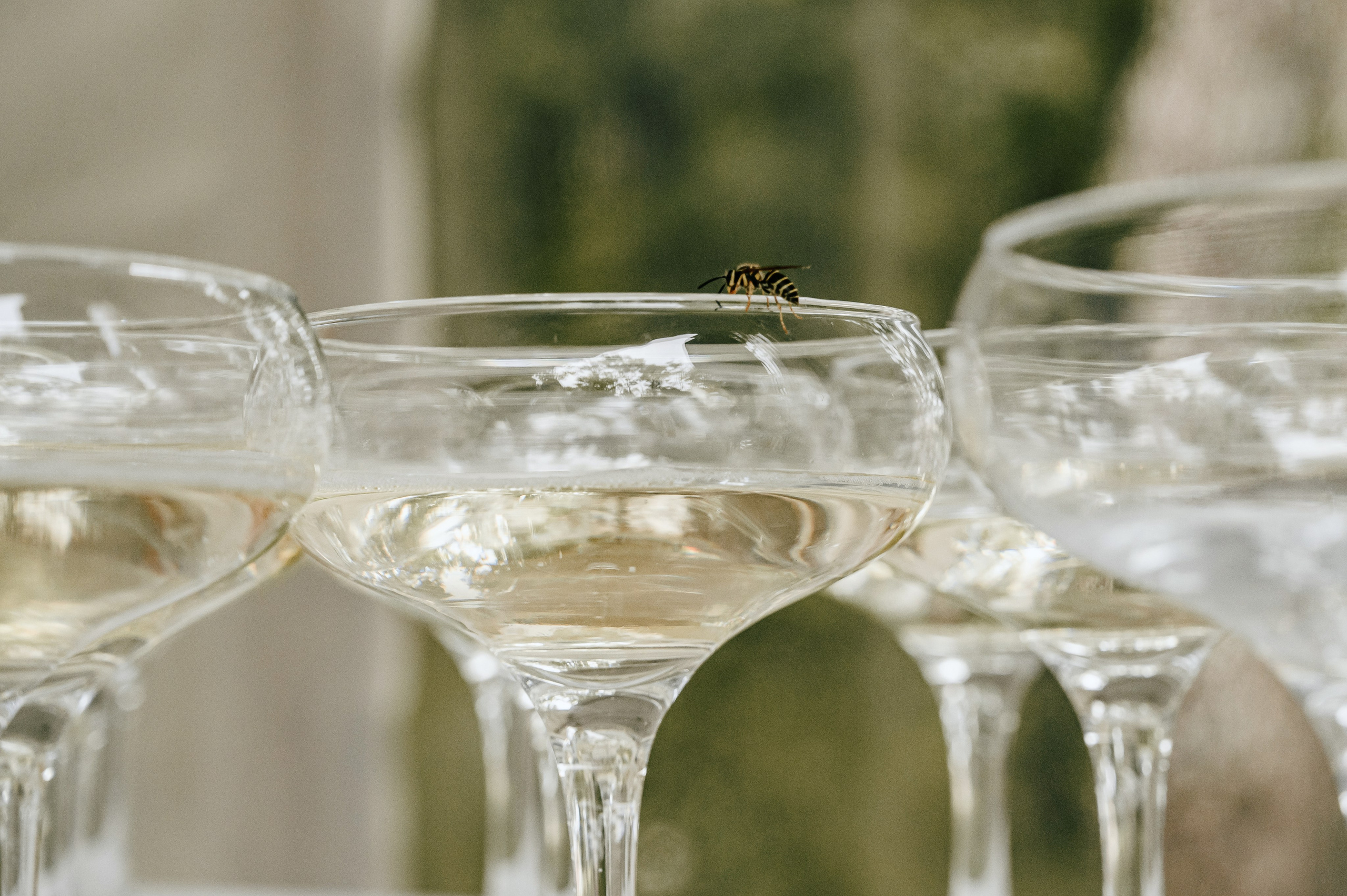 Ксения Дмитрий. Фотограф Владивосток. Игорь Кирсанов