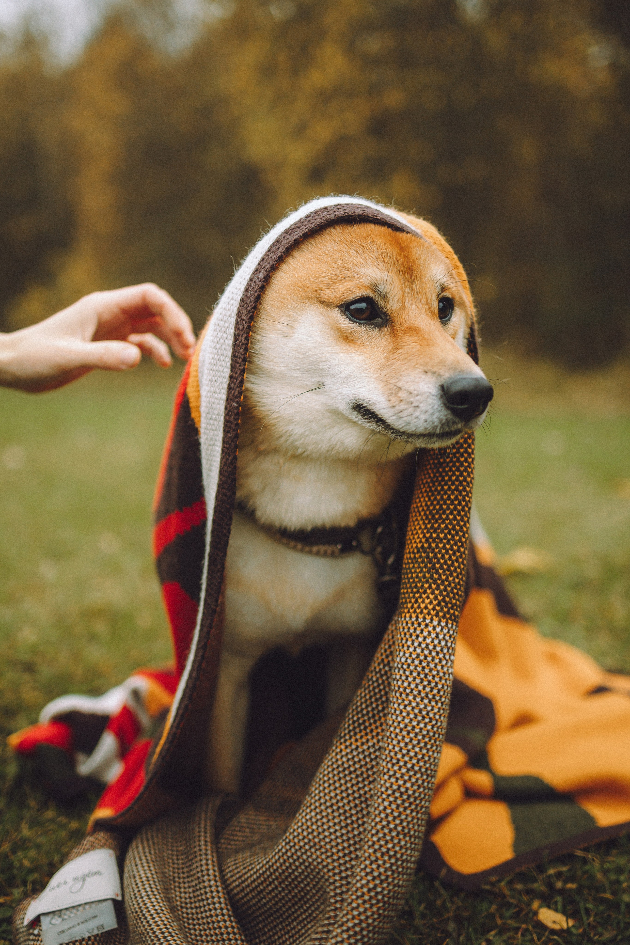 Настя, Юра и Скай