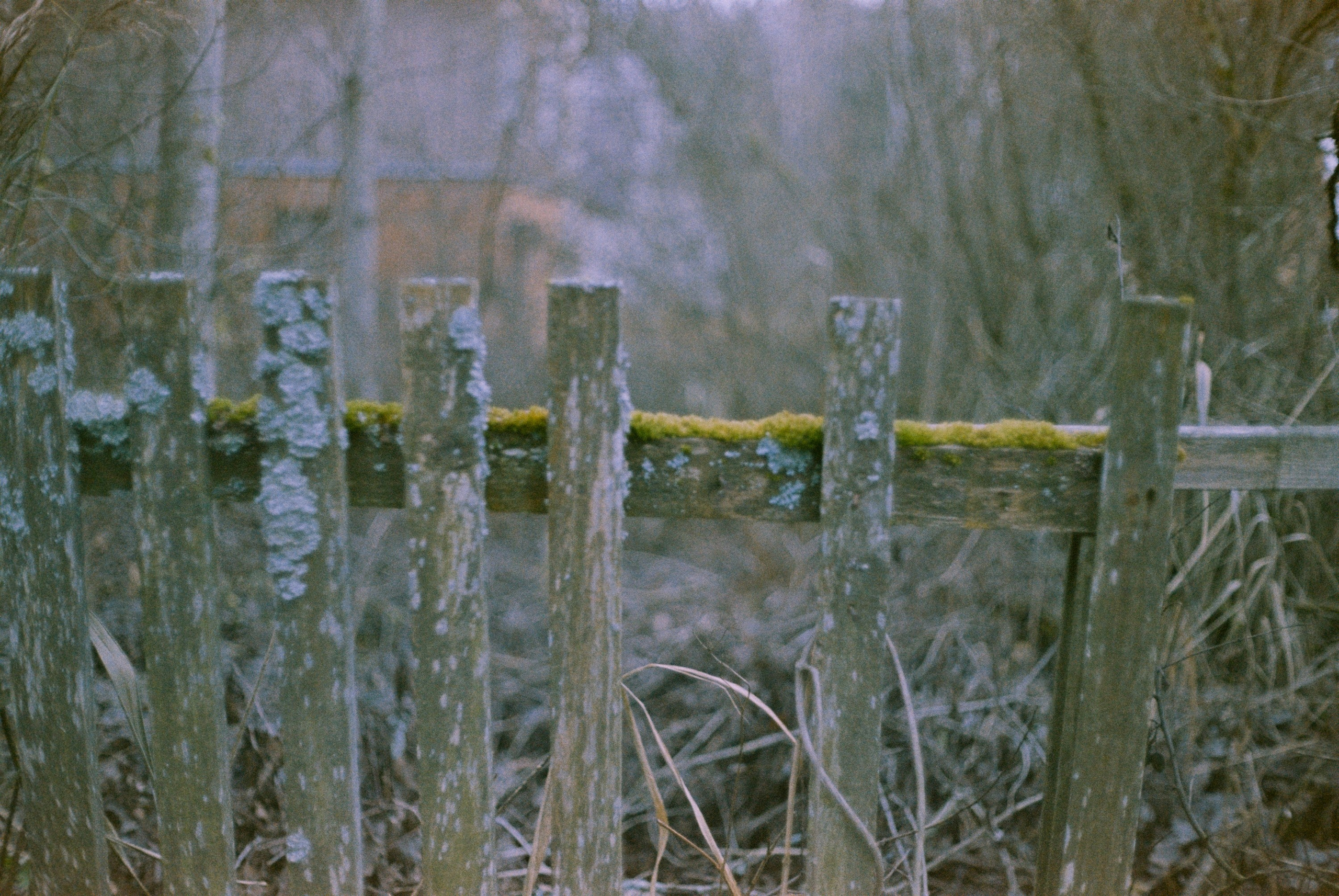 Minolta Hi-Matic 7sII / Kodak Color Plus 200 (просрочка)