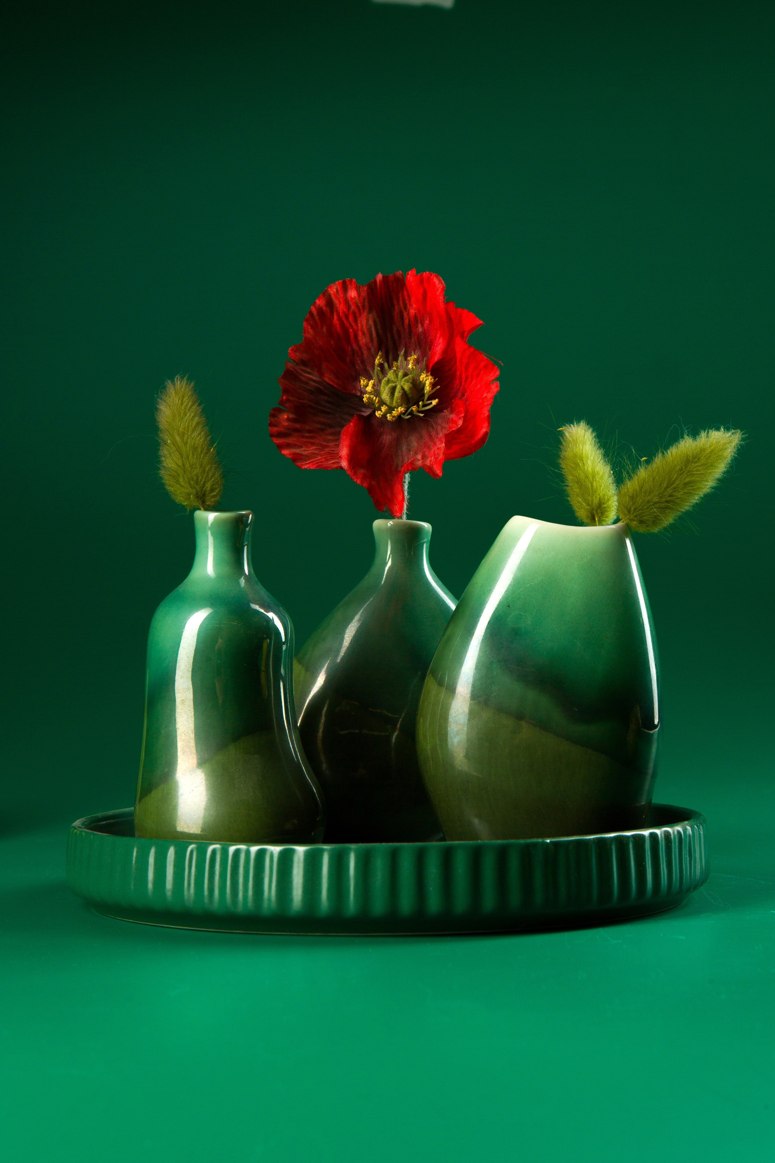 Зеленый. Фотограф Мария Кольцова