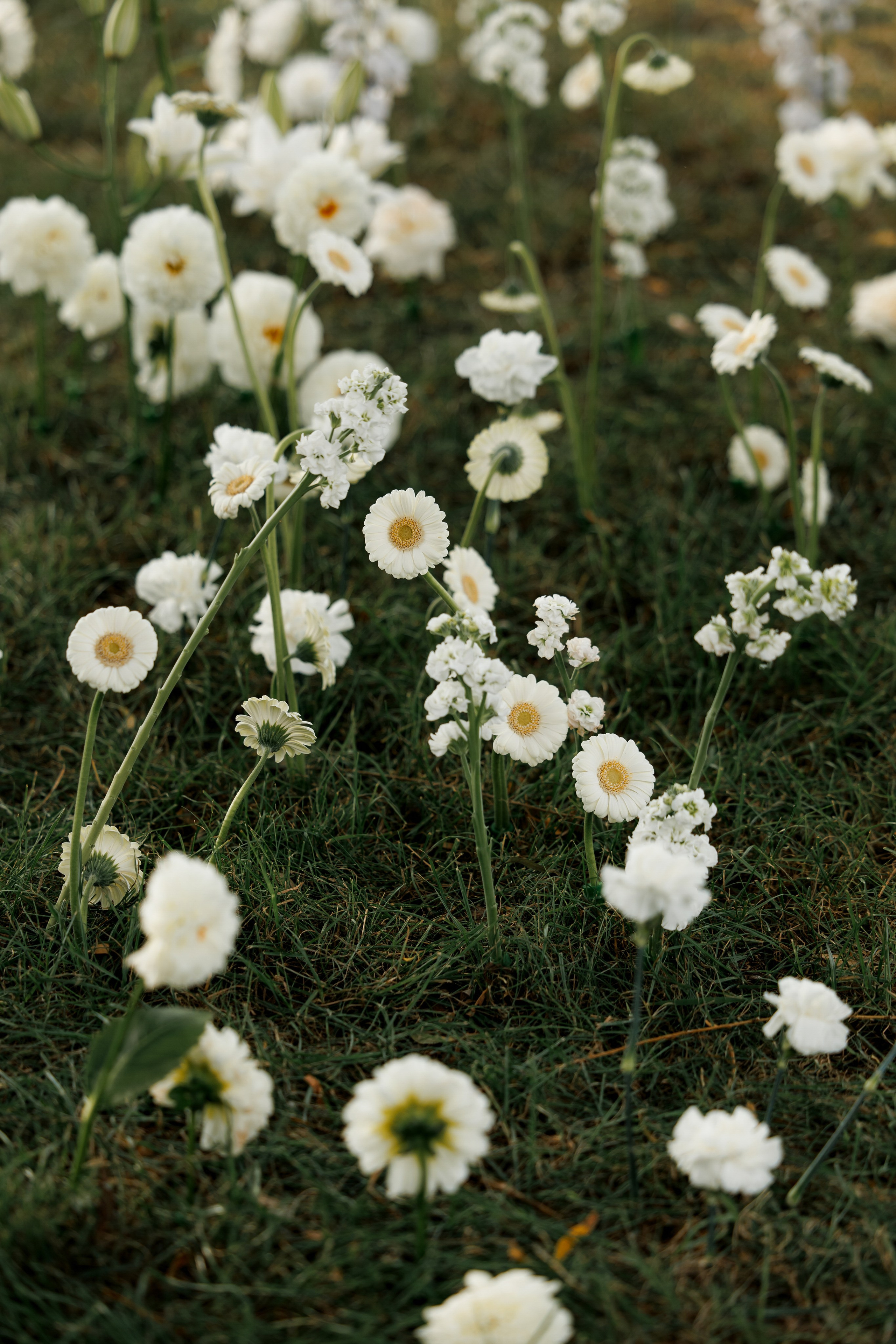 Владимир и Екатерина. Wedding and Reportage photographer Marmarov Christya