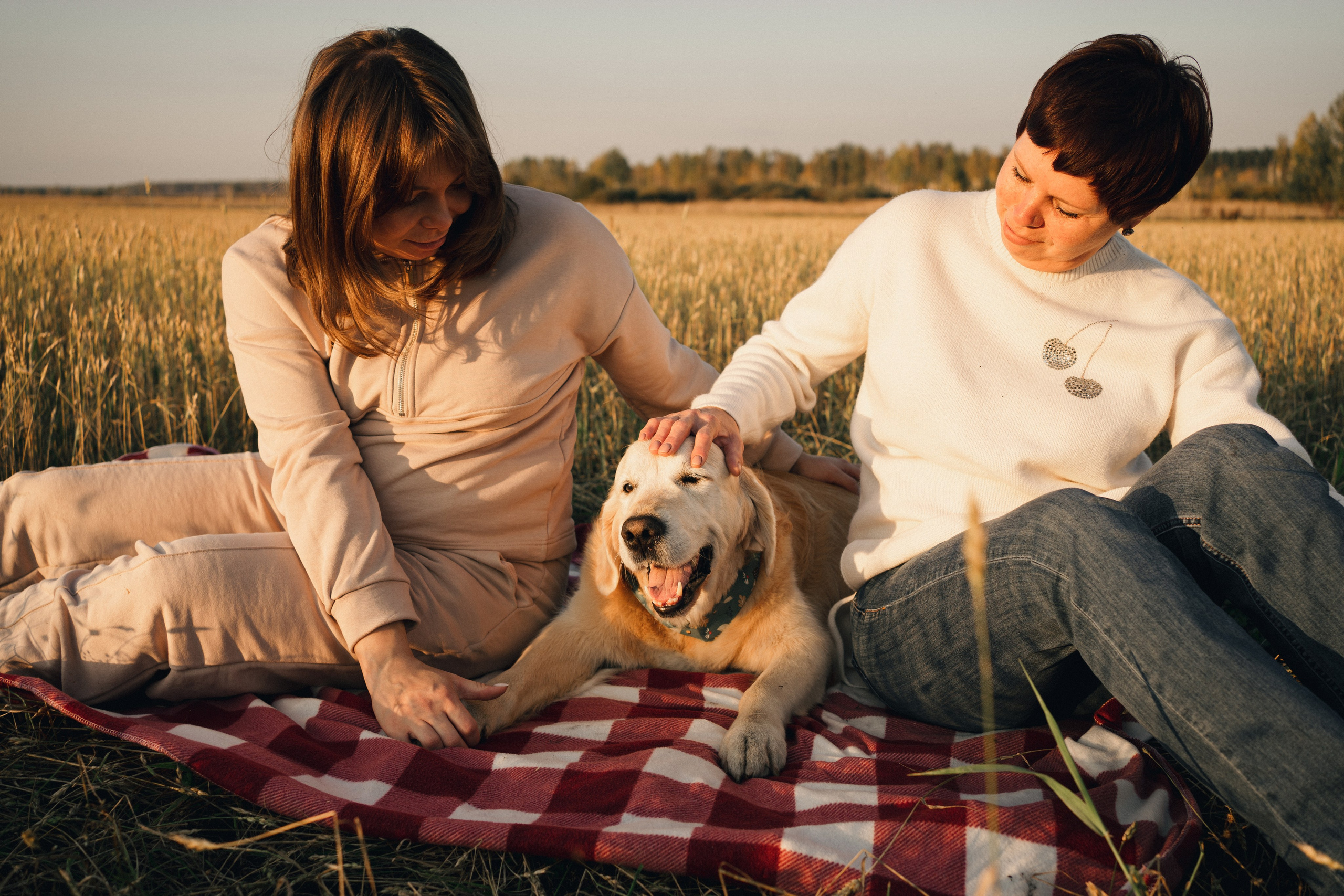 Дарья, Люба и Ред. Фотограф-анималист Анастасия Большакова
