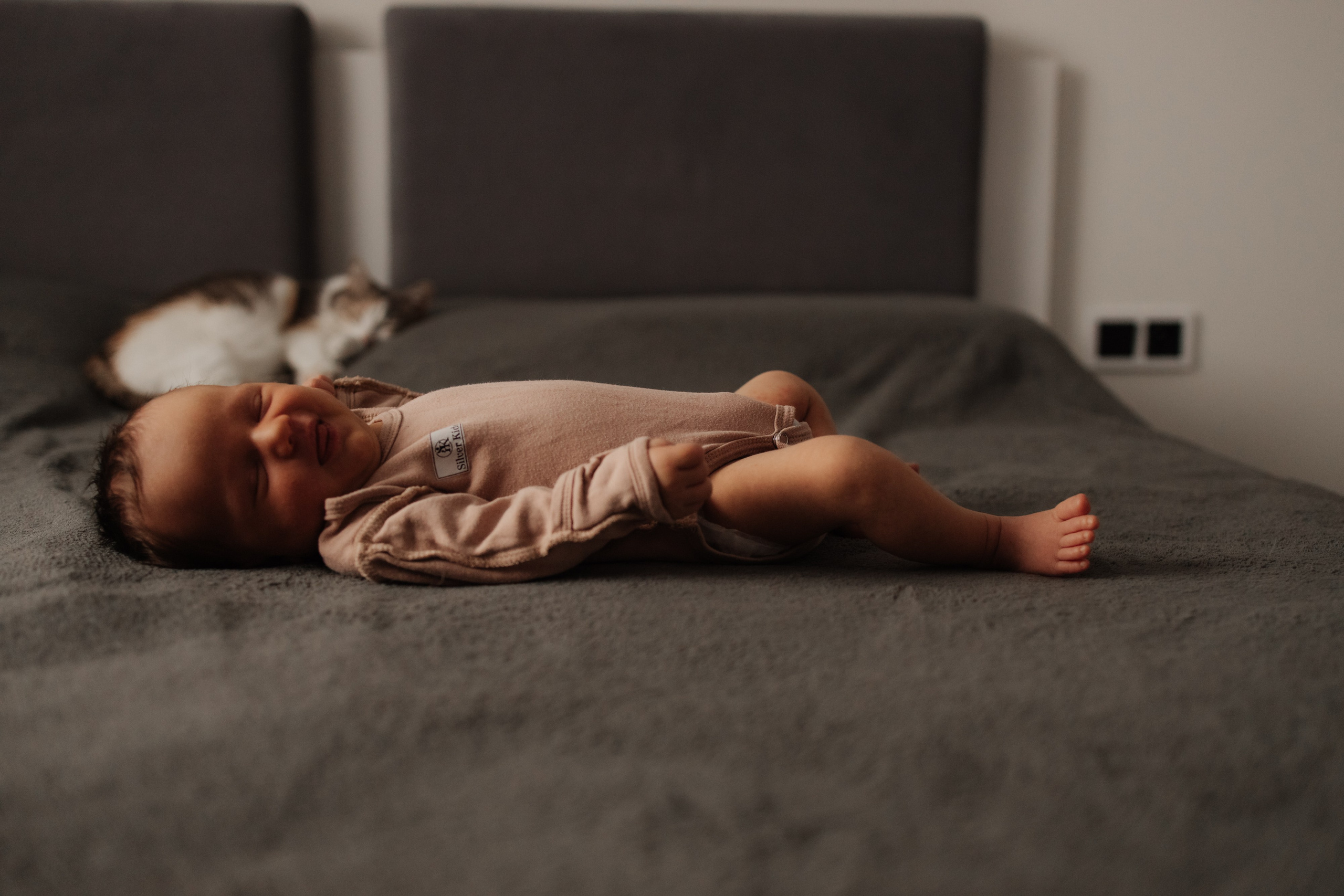 Аленушка дома. Фотограф Новосибирск