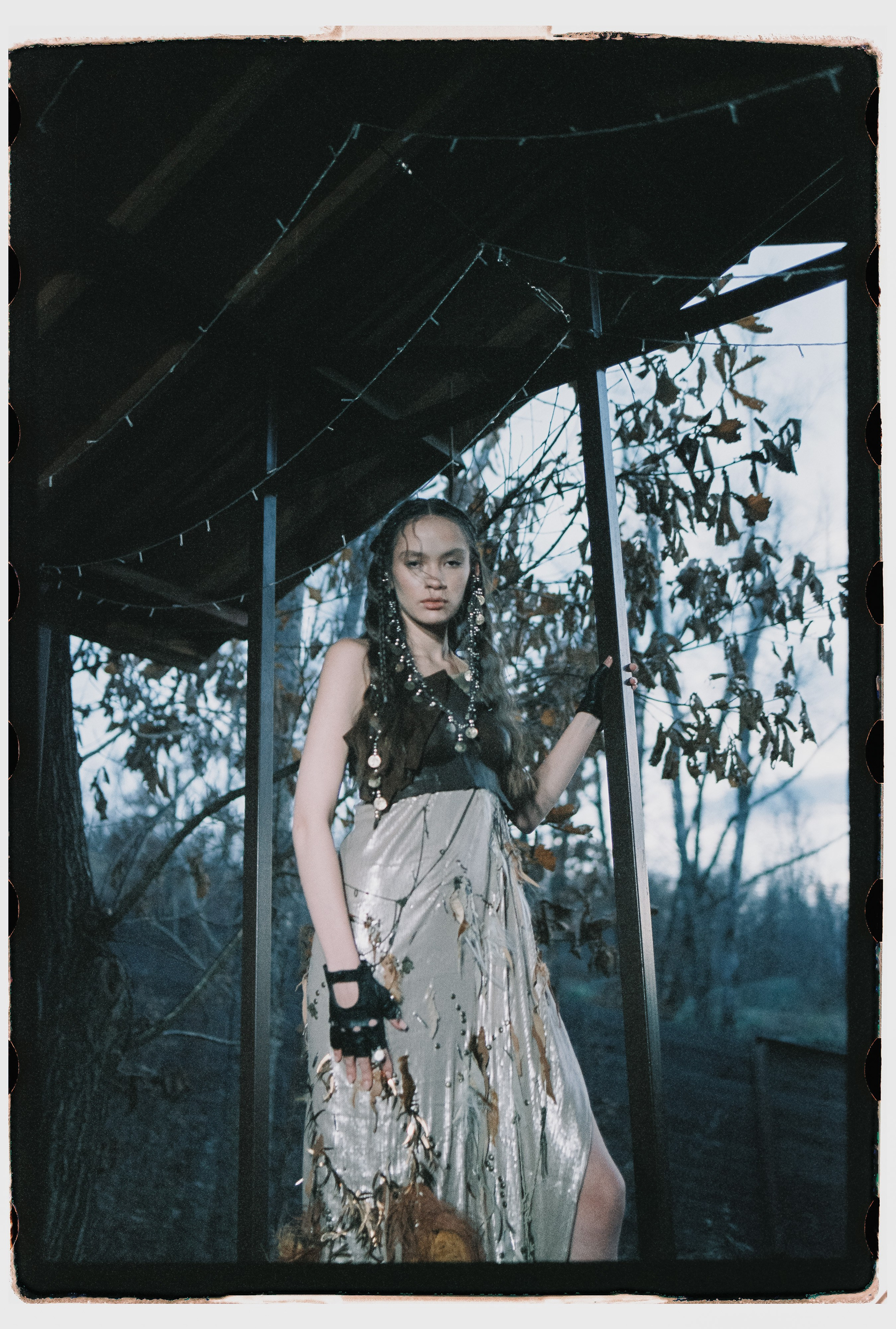 Лесной променад