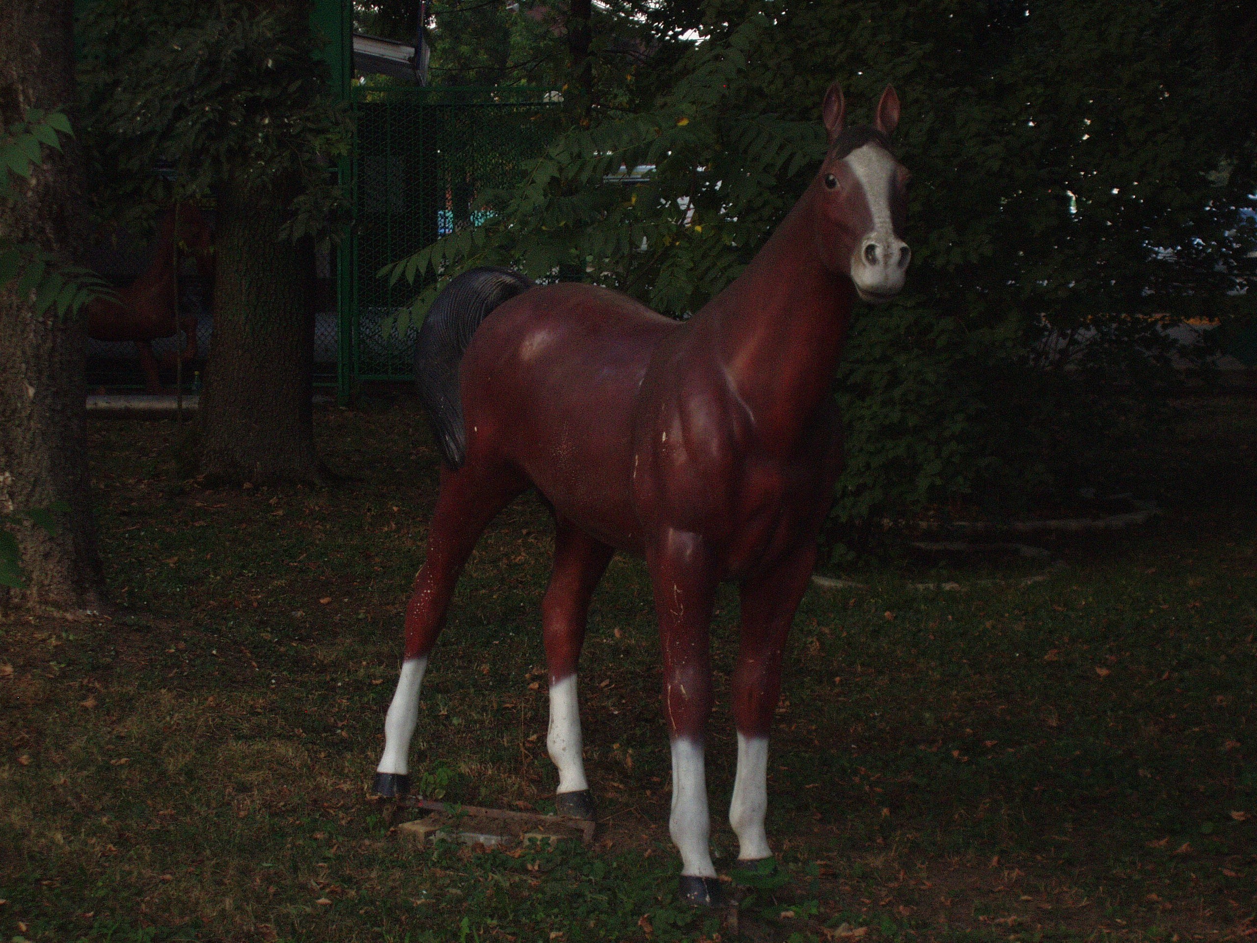 Отпуск 27.05-16.08. Семейный, Свадебный фотограф СПБ Питер— Романова Екатерина