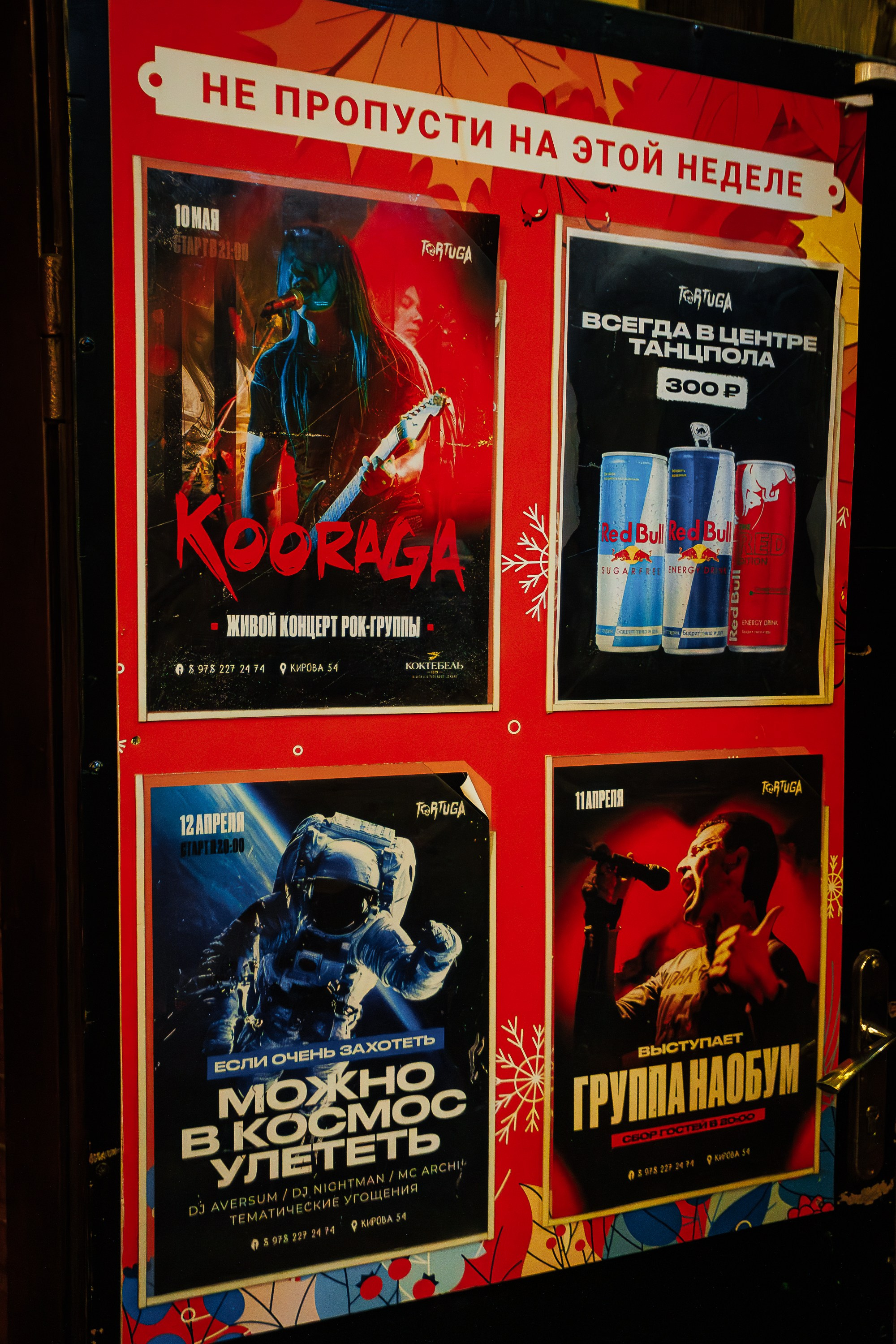 «Dj Nikitich»_Tortuga_Симферополь_12.04.2025. Аминов Руслан | Фотограф