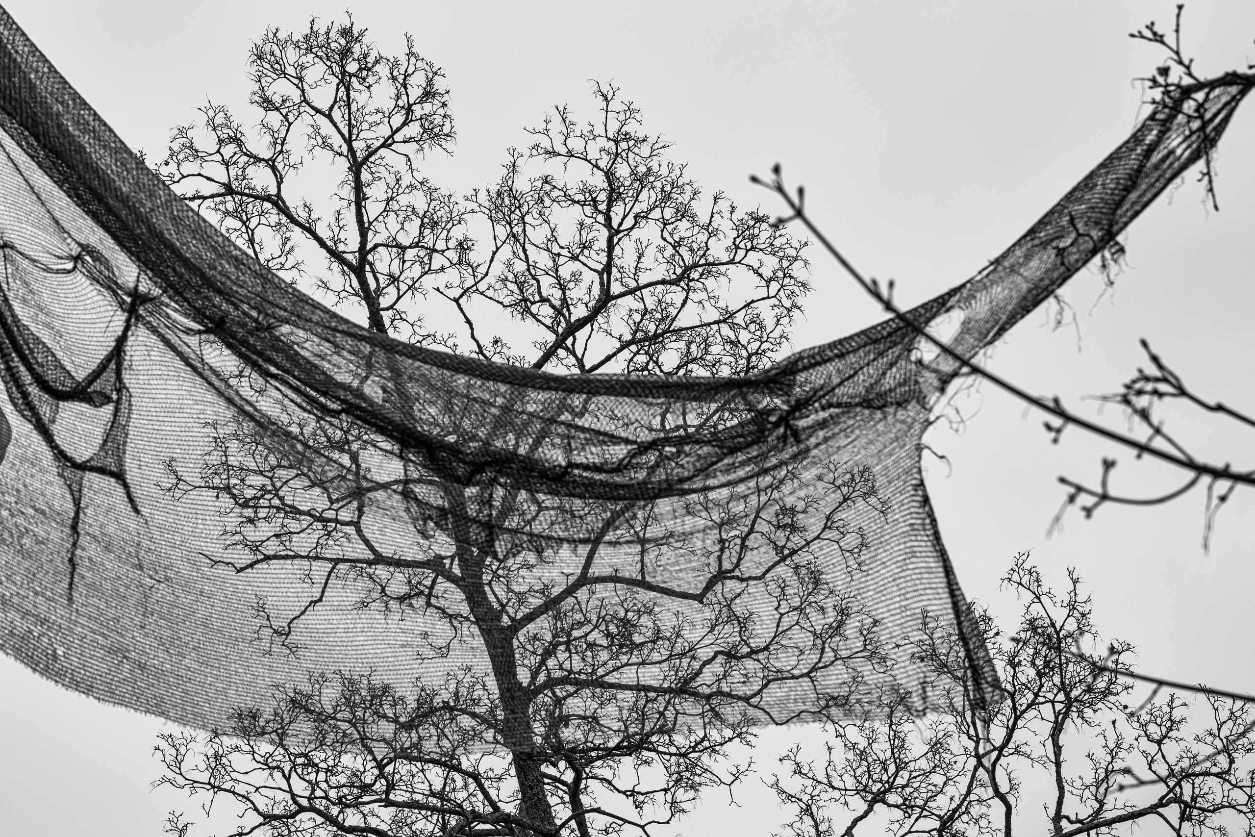 Abstraction. Dimitri Bakhtadze photographer