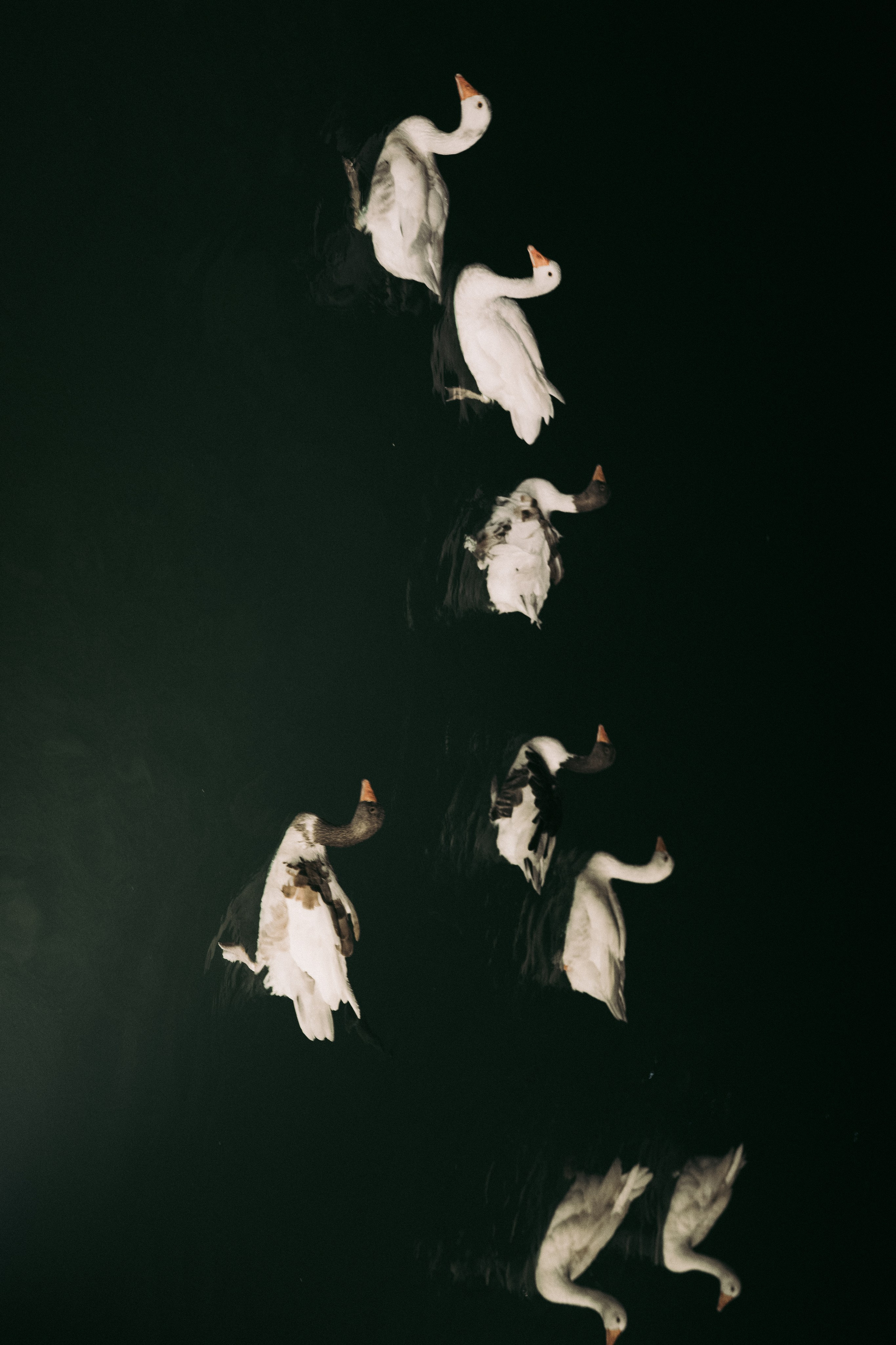 Mediterranean wedding anniversary. Wedding & Documentary Photographer based in Nuremberg — available across Europe & Turkey | Vitalii Nasonov