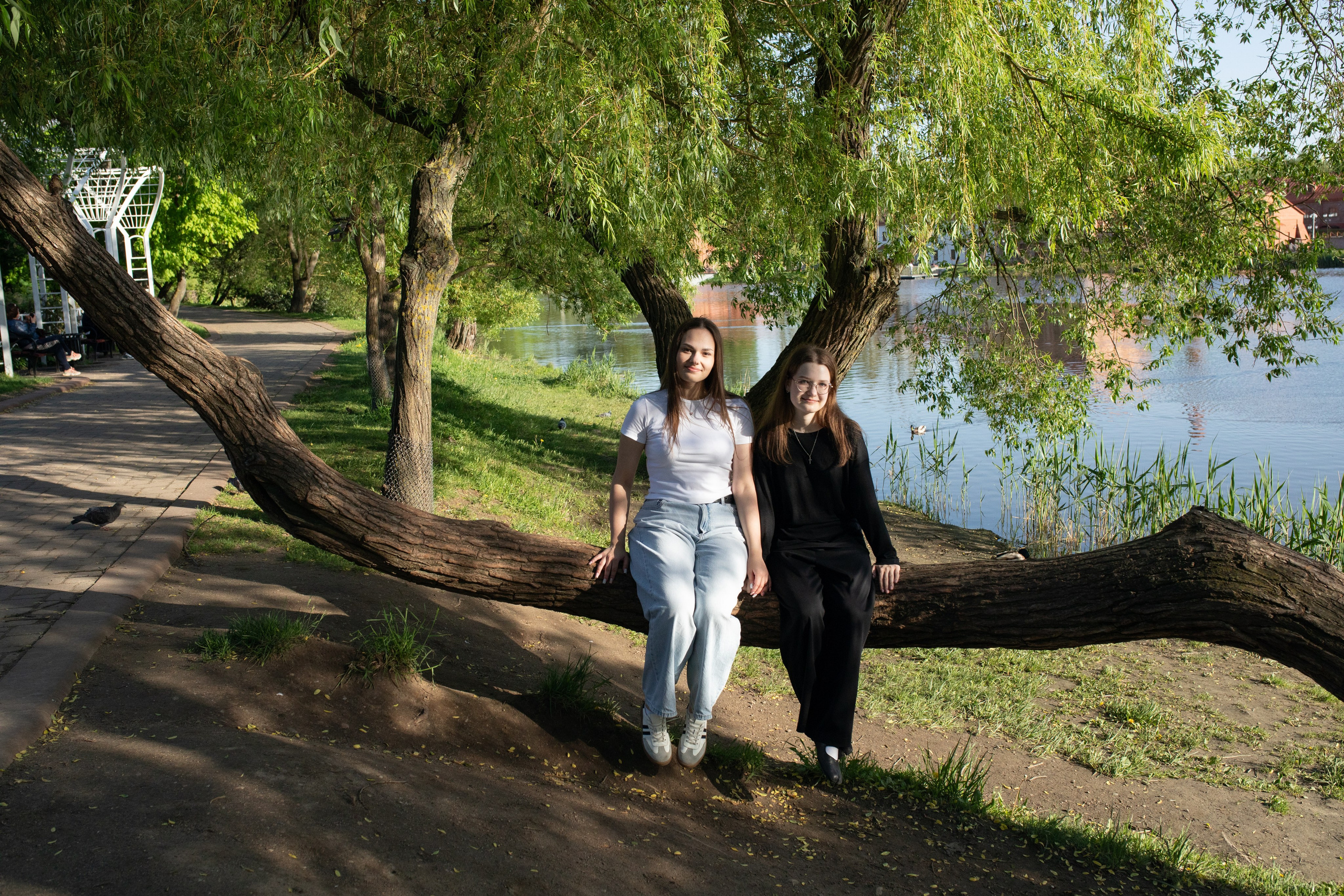 19/05/26 Лошицкий. Выпускные альбомы Cardsi