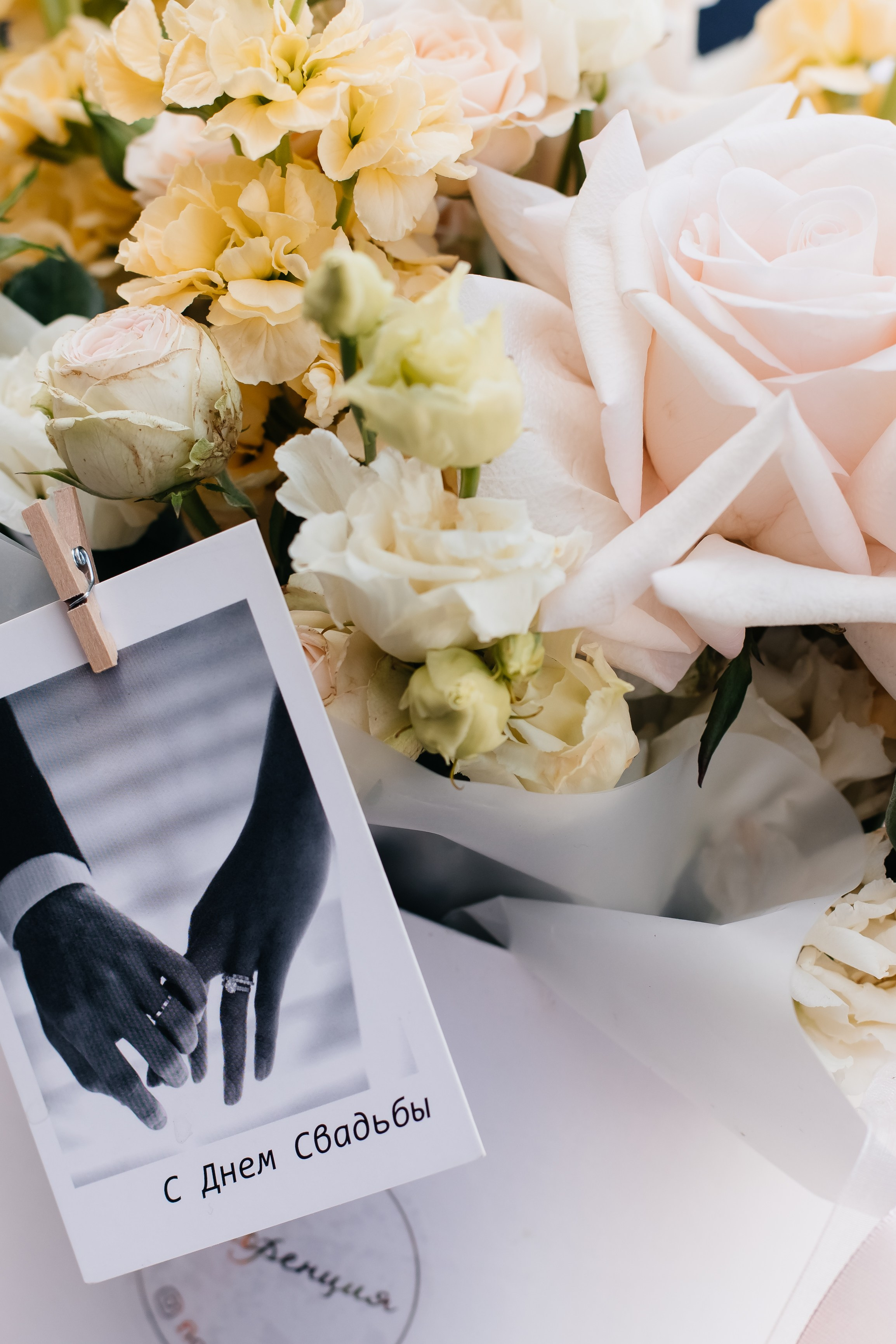 19|04|25. Фотограф ВИКА МЕДУЗА