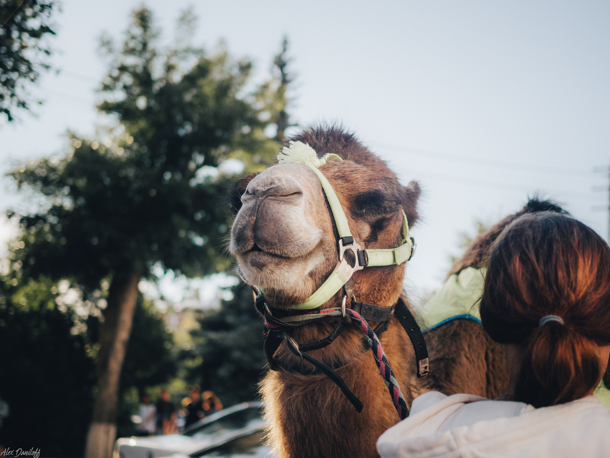 День города. Муром. 2024. Муром-Инфо. Новости культуры, образования, спорта в городе Муром