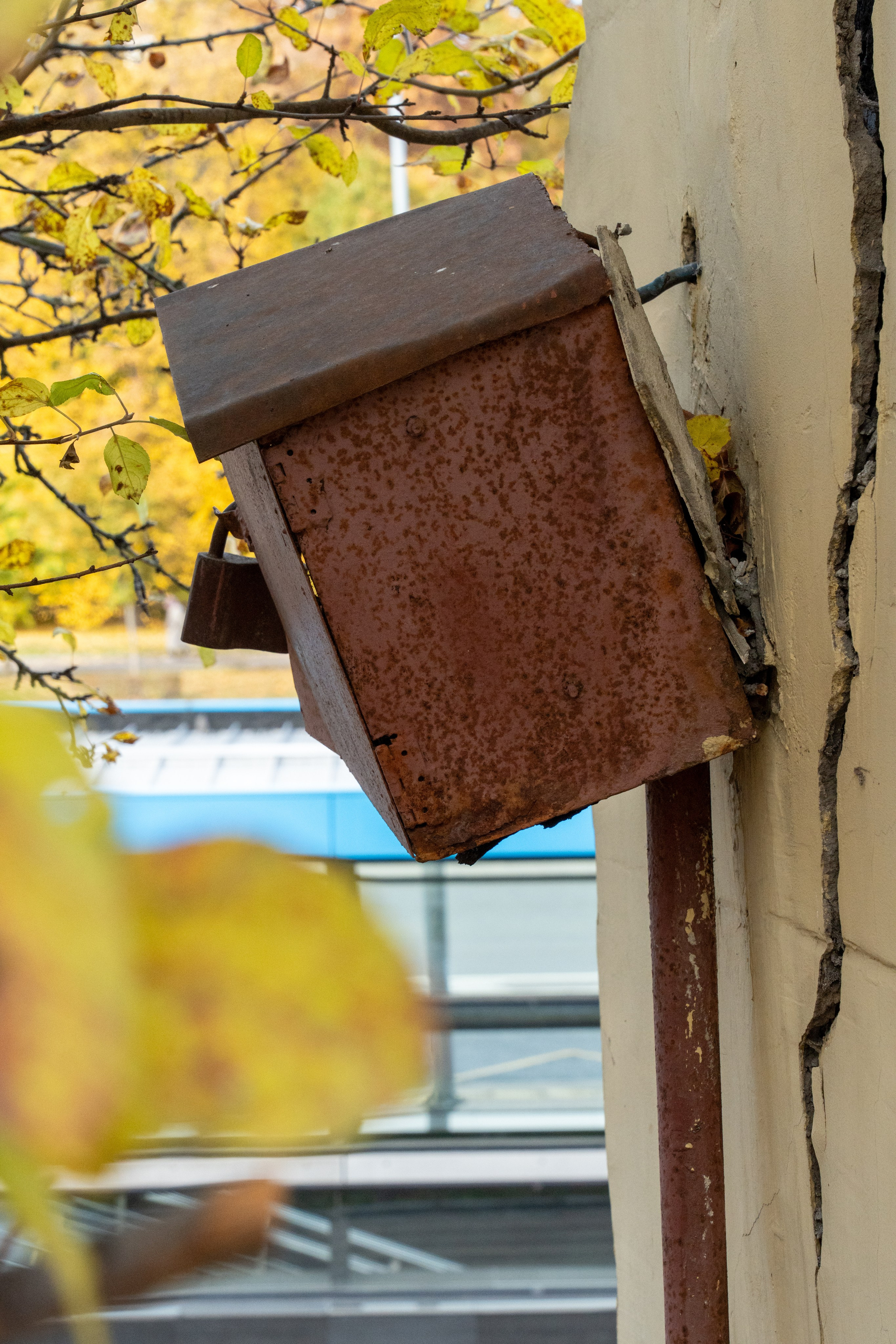 20251012 МГУ. Дмитрий Ремизов. Фотография, как хобби