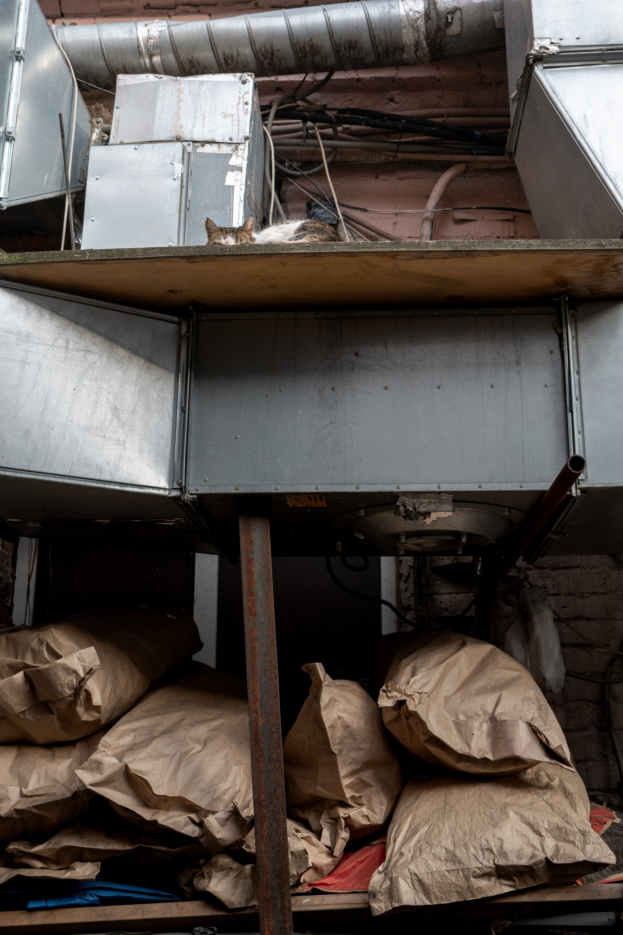 20250329 Лубянка — Чистые пруды. Дмитрий Ремизов. Фотография, как хобби