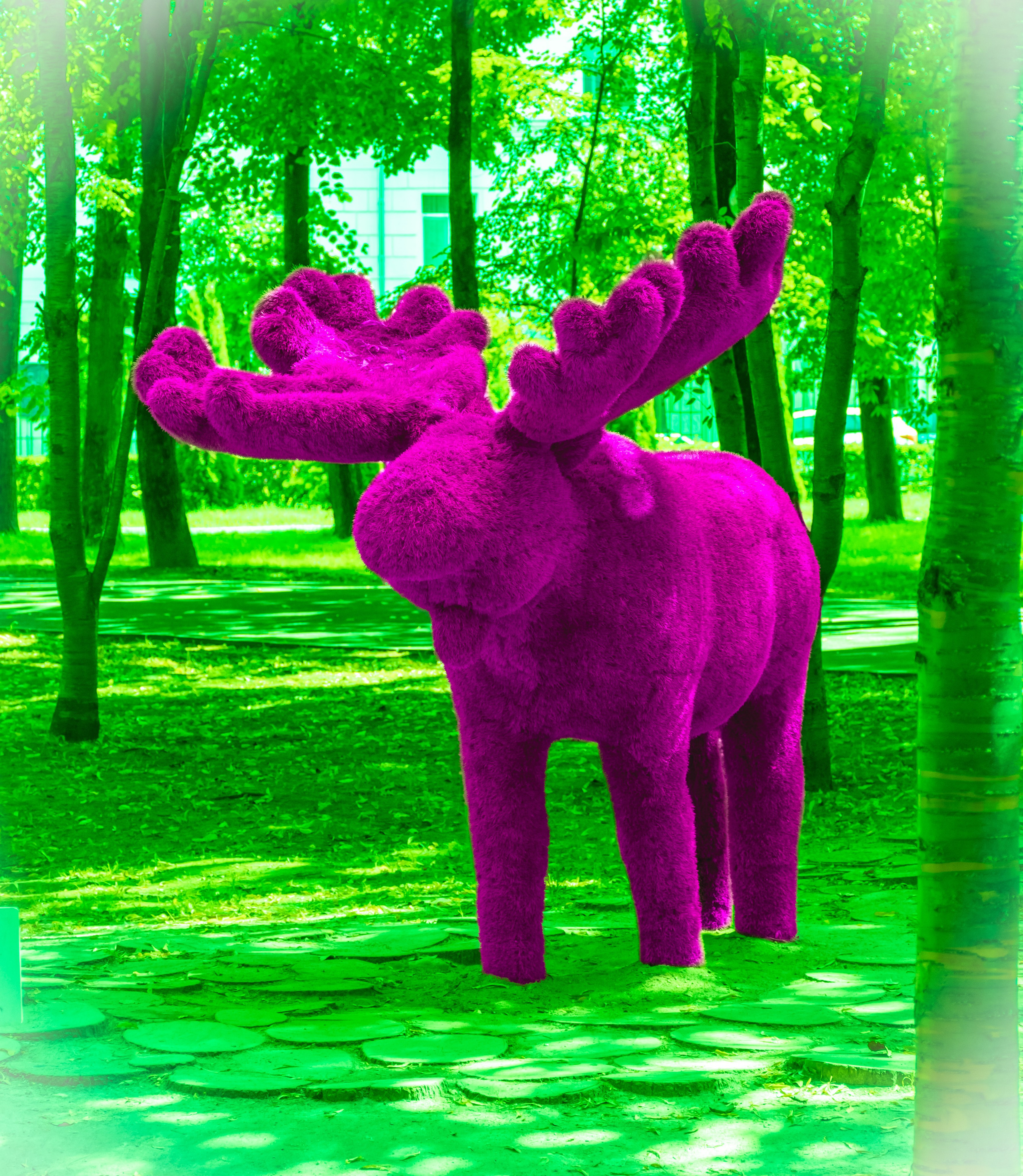 20220803-04 Смоленск. Дмитрий Ремизов. Фотография, как хобби