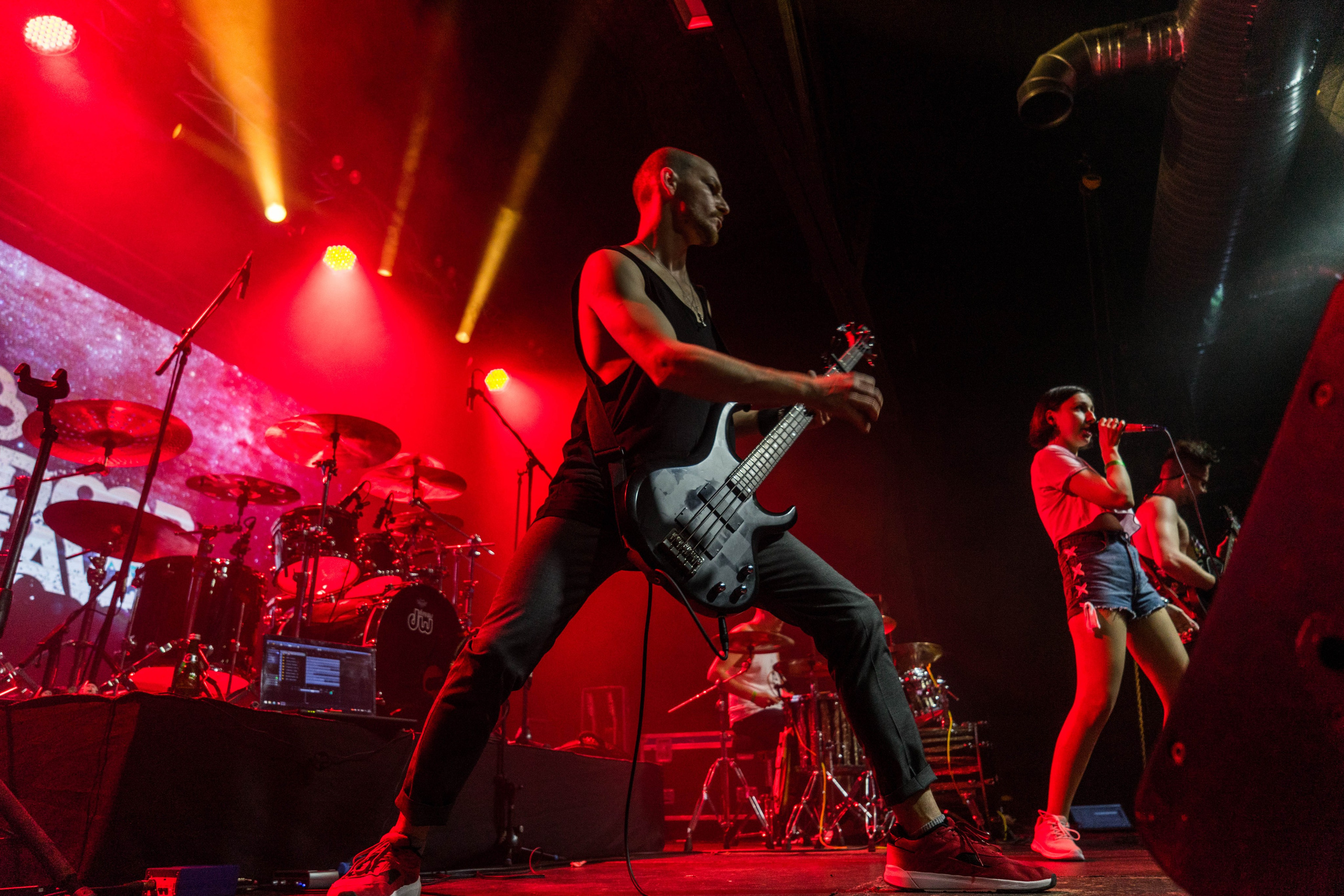 NextDoorHaven. Твой фотограф — Полосатый кот