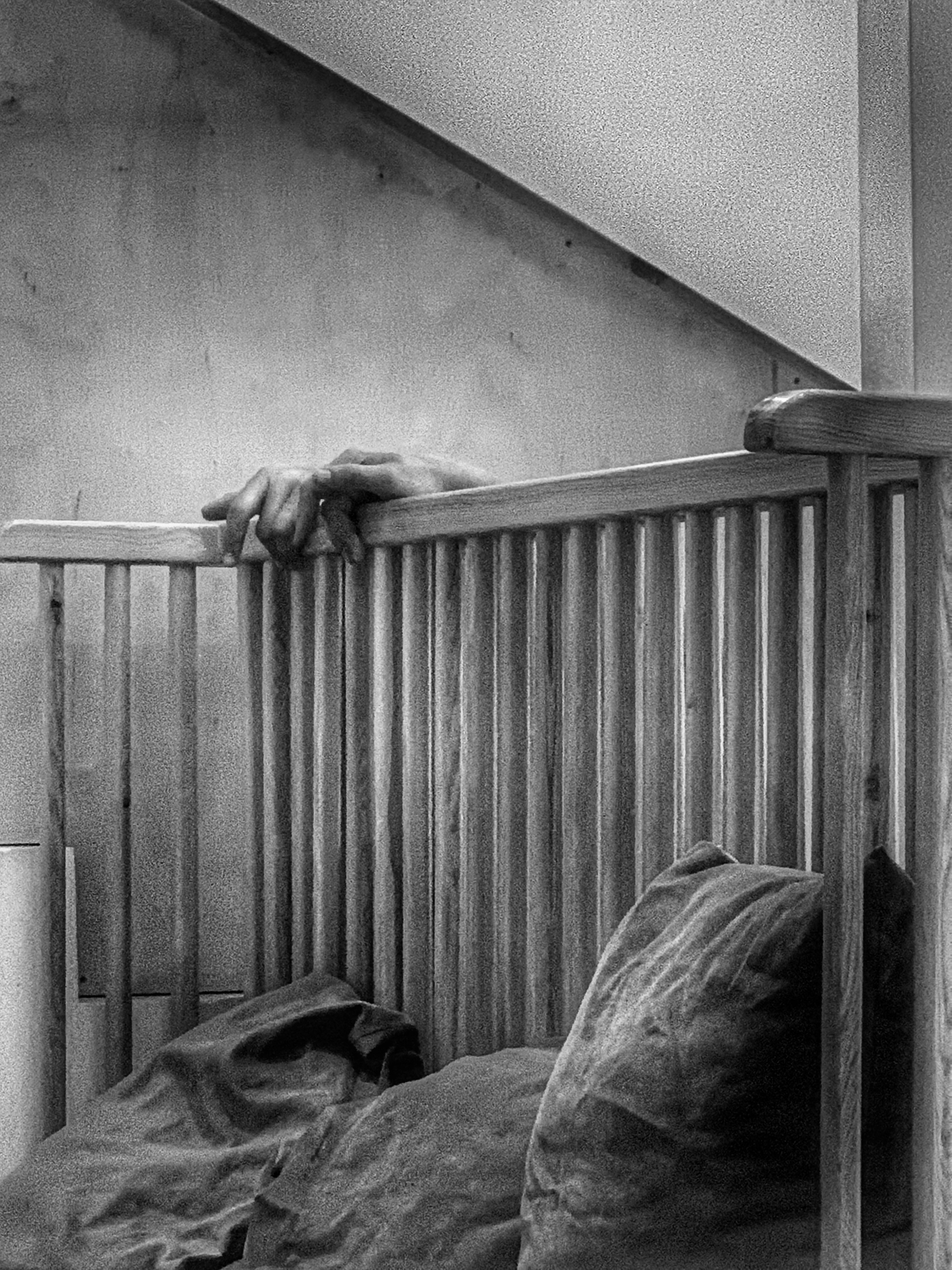 2022. Тащилин Сергей. Фотографии. Жизнь. Хобби