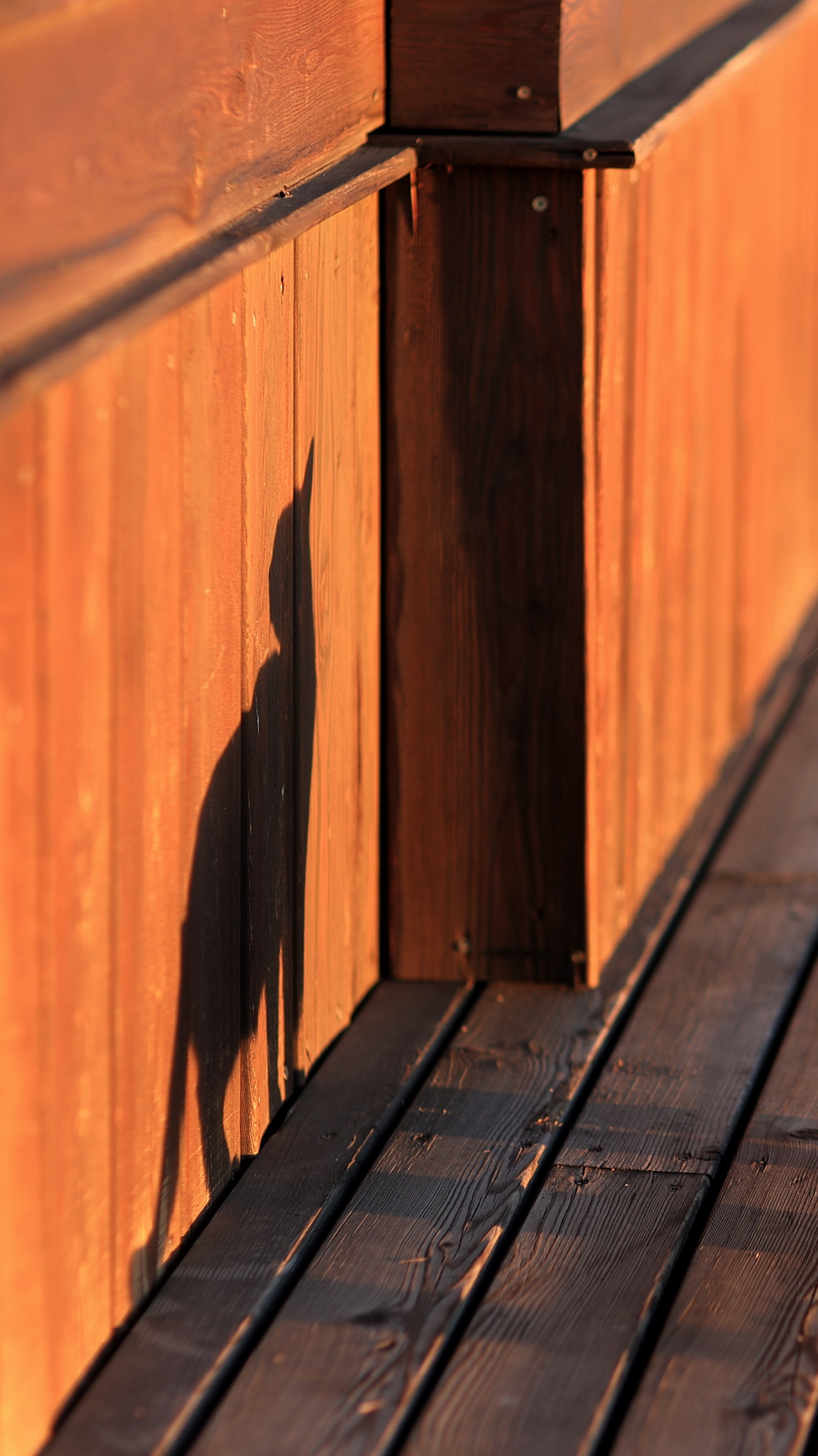 2023. Тащилин Сергей. Фотографии. Жизнь. Хобби