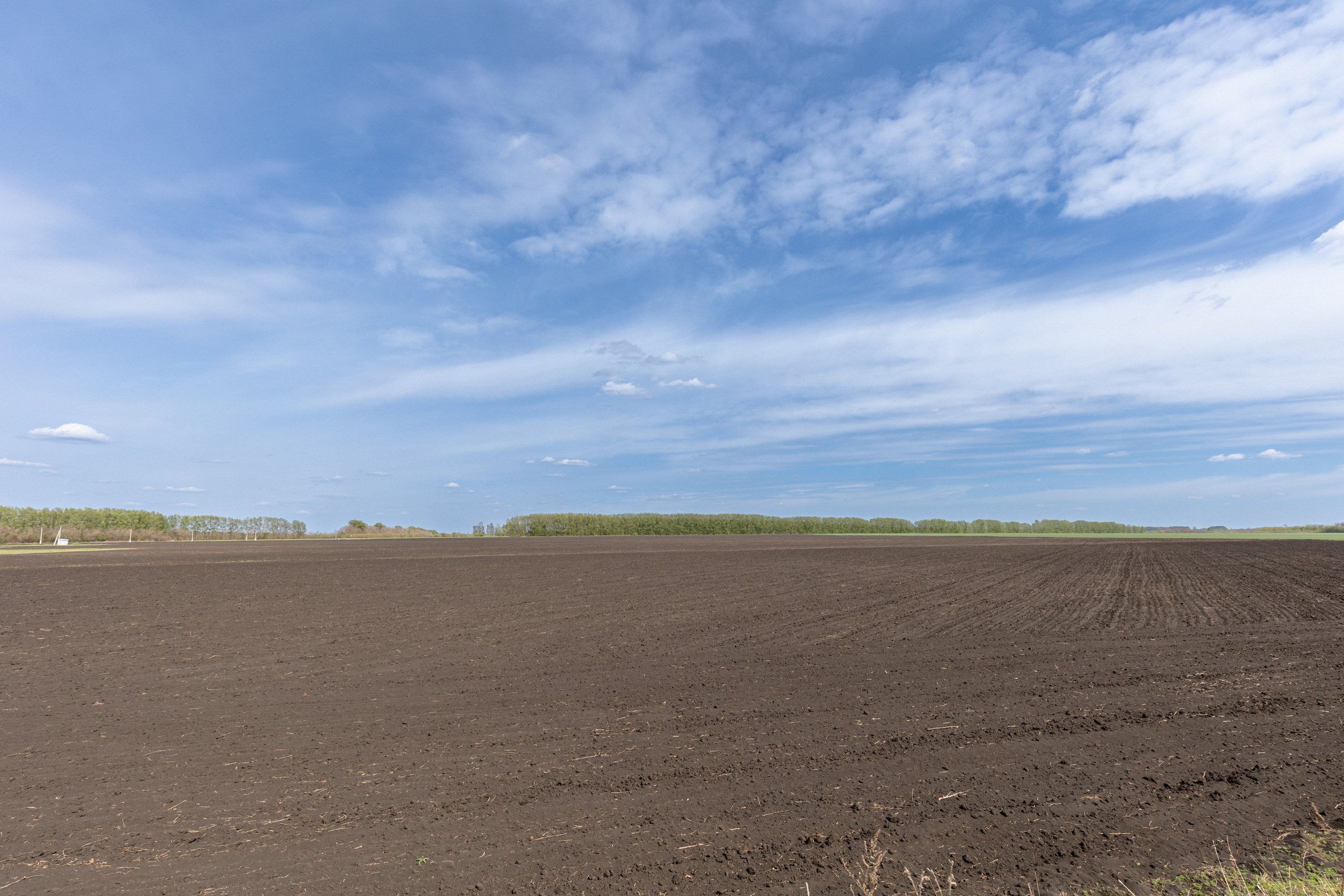 Земельный участок с объектами на нём. Владислав Волков | Фотография и видеосъемка в Воронеже