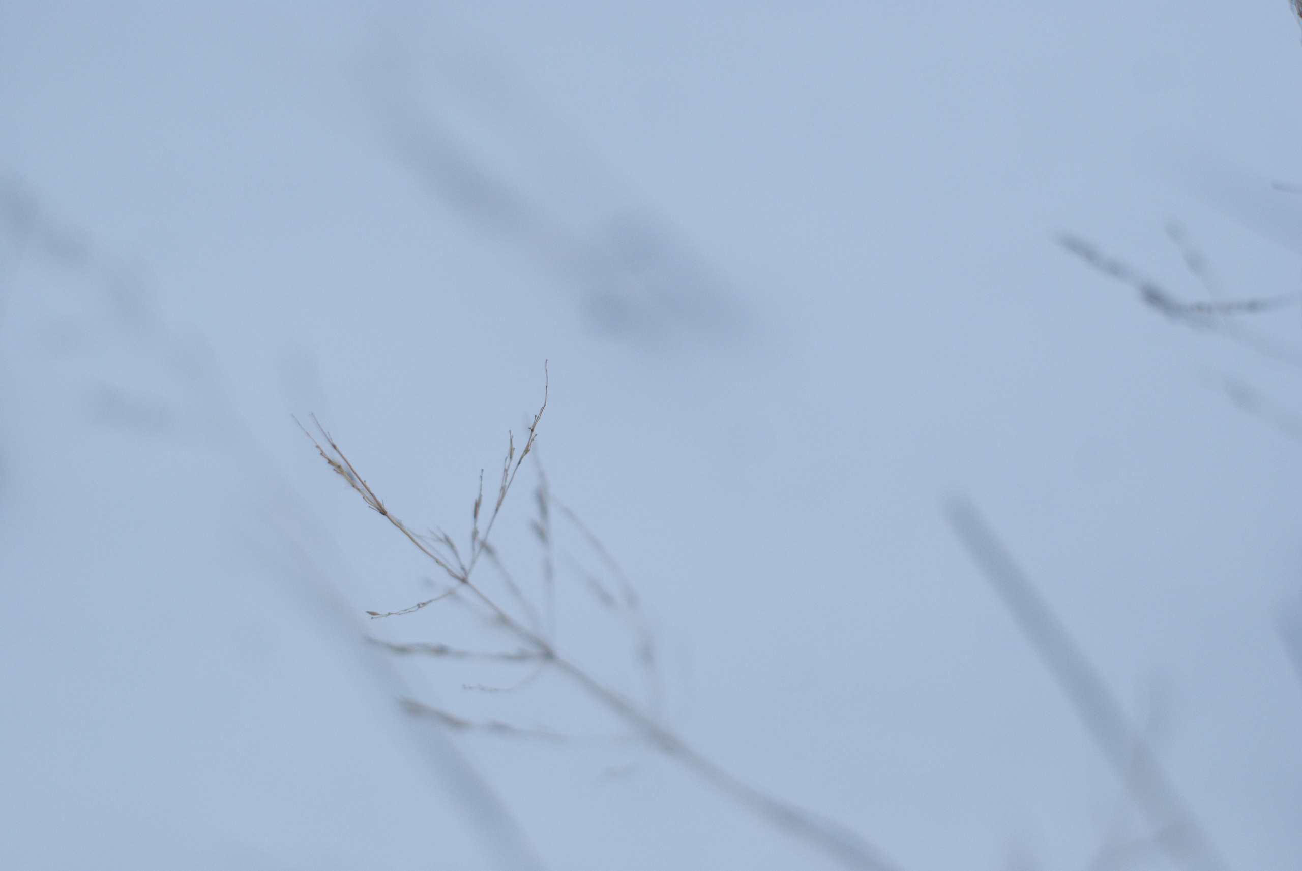 Этот прекрасный мир