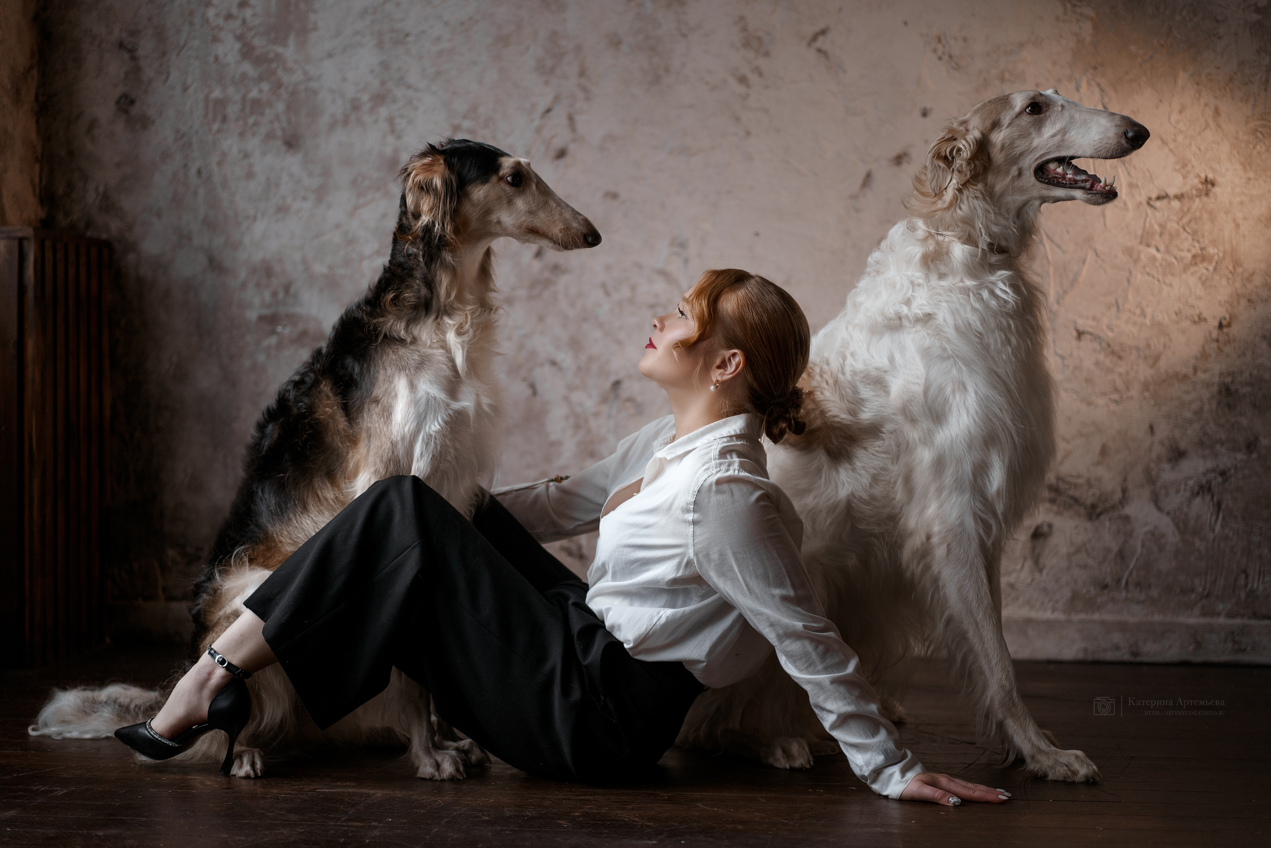Фотосессии с вашими любимцами. Фотограф Артемьева Катерина|фотосессии с лошадьми