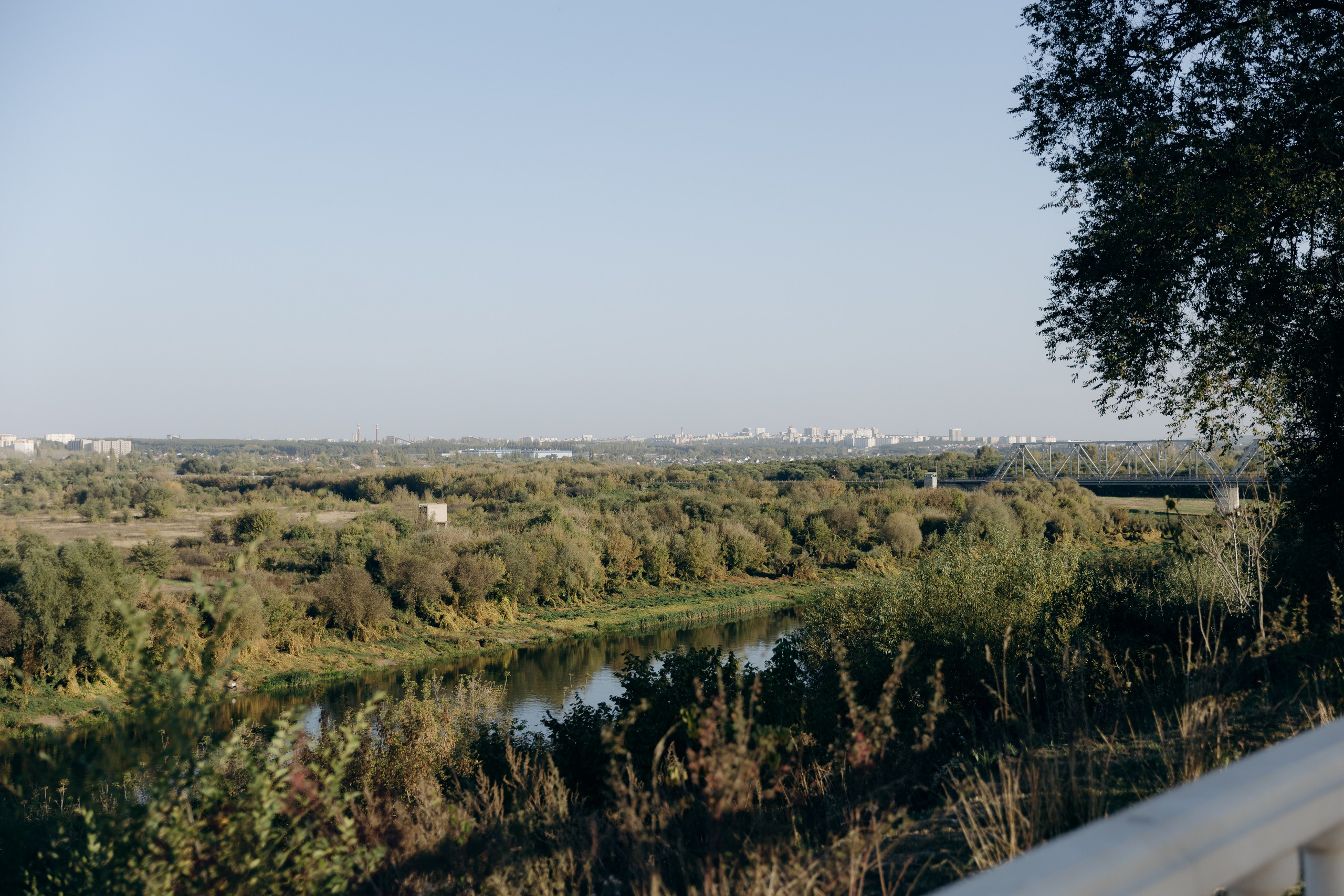 Даша & Максим. Фотограф и преподаватель по фотографии в Воронеже Олеся Микерова