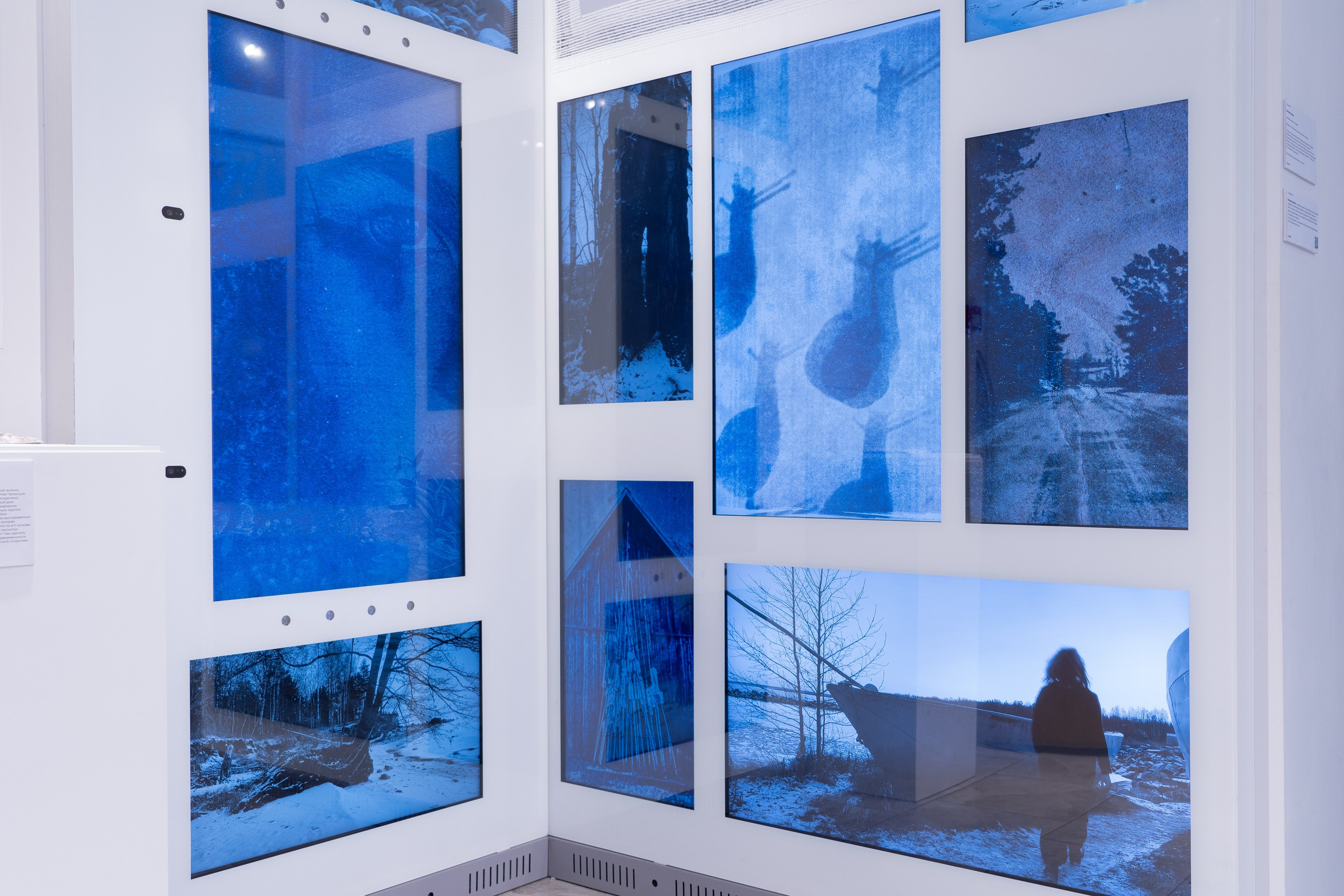 Укрытие. Катерина Эделева