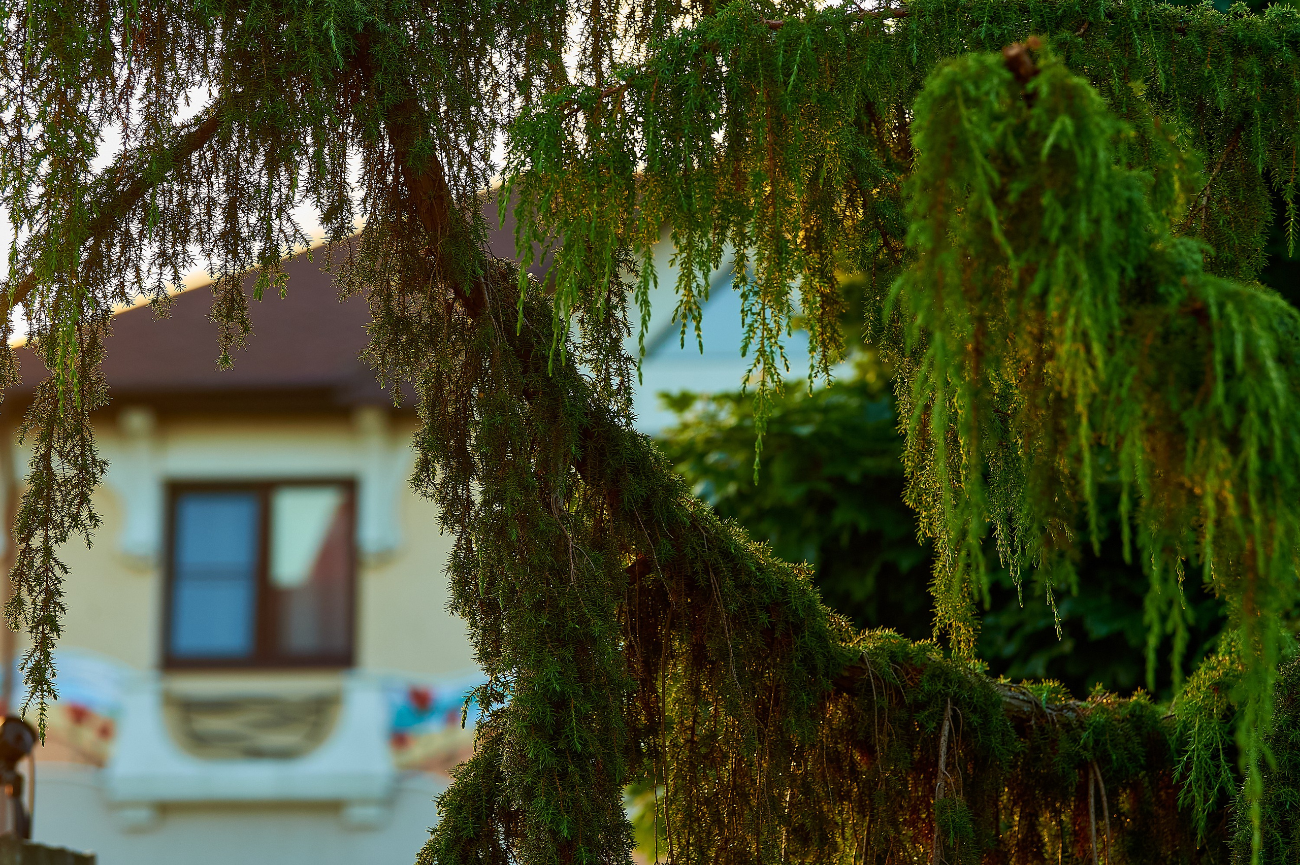 Фотосъёмка ландшафтных рабт