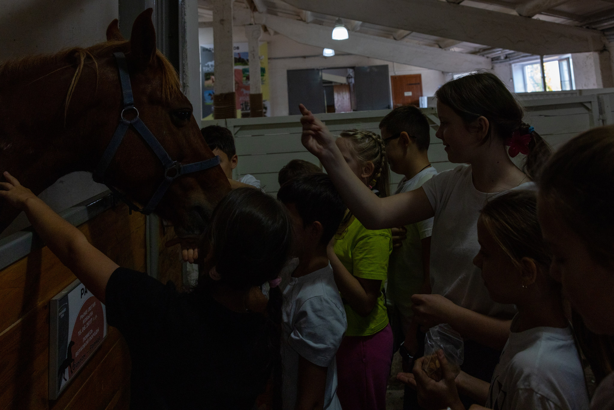 Поездка на поле Кулеково. Фотограф в Туле Крупский АнДРей. Фотостудия «КАДР71» в Туле