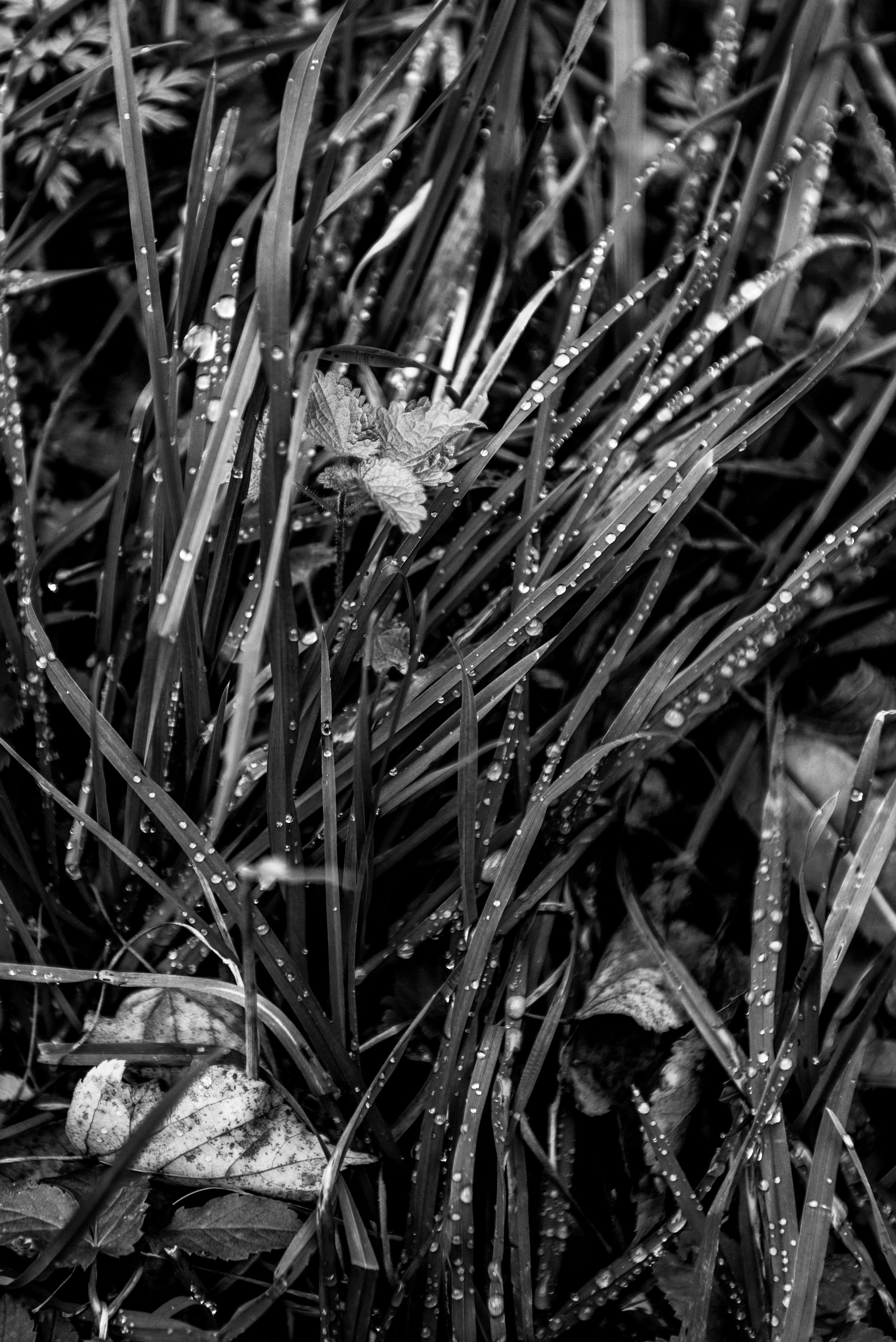 Текстуры. Портретный и архитектурный фотограф в Москве и Санкт-Петербурге