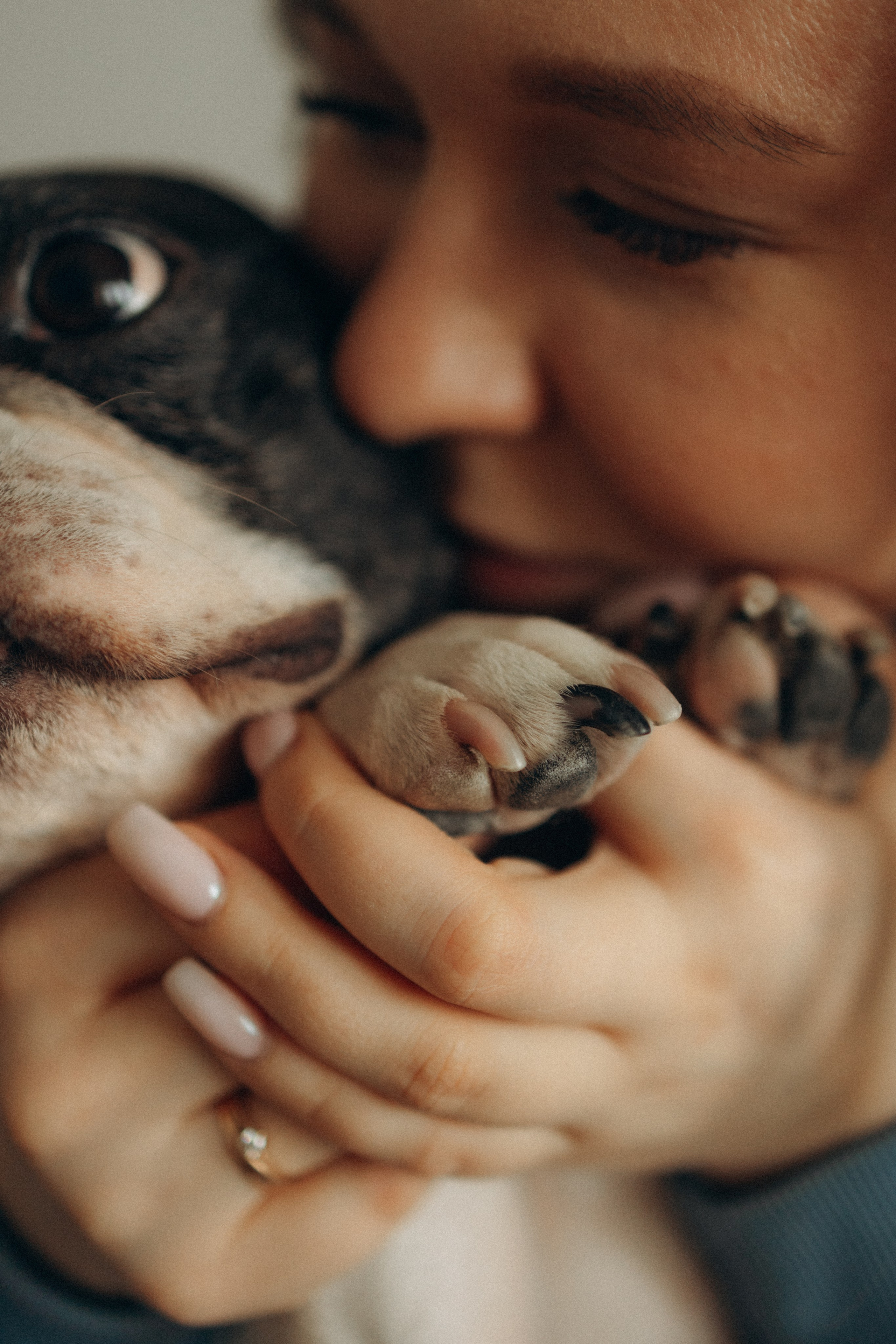 Зефирка, Булка и их Ро. Фотораф — анималист Мария Шистка