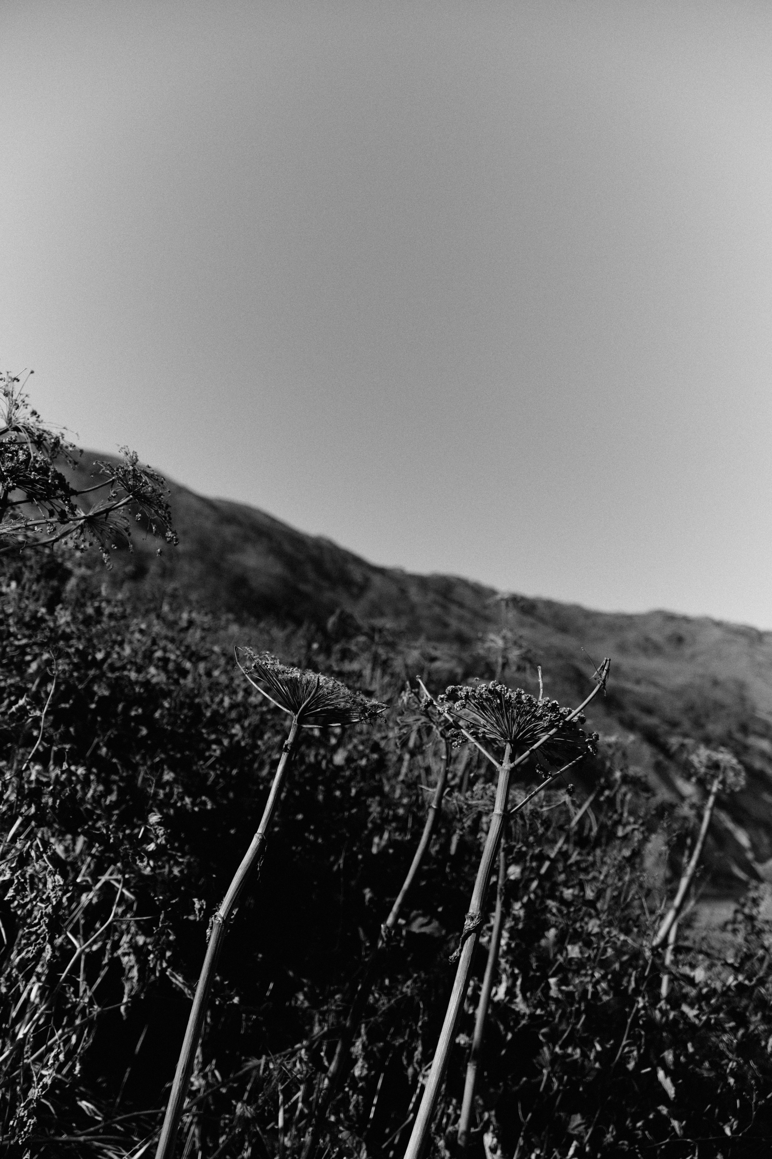 BAON x SAKHALIN. Фотограф Сурков Никита