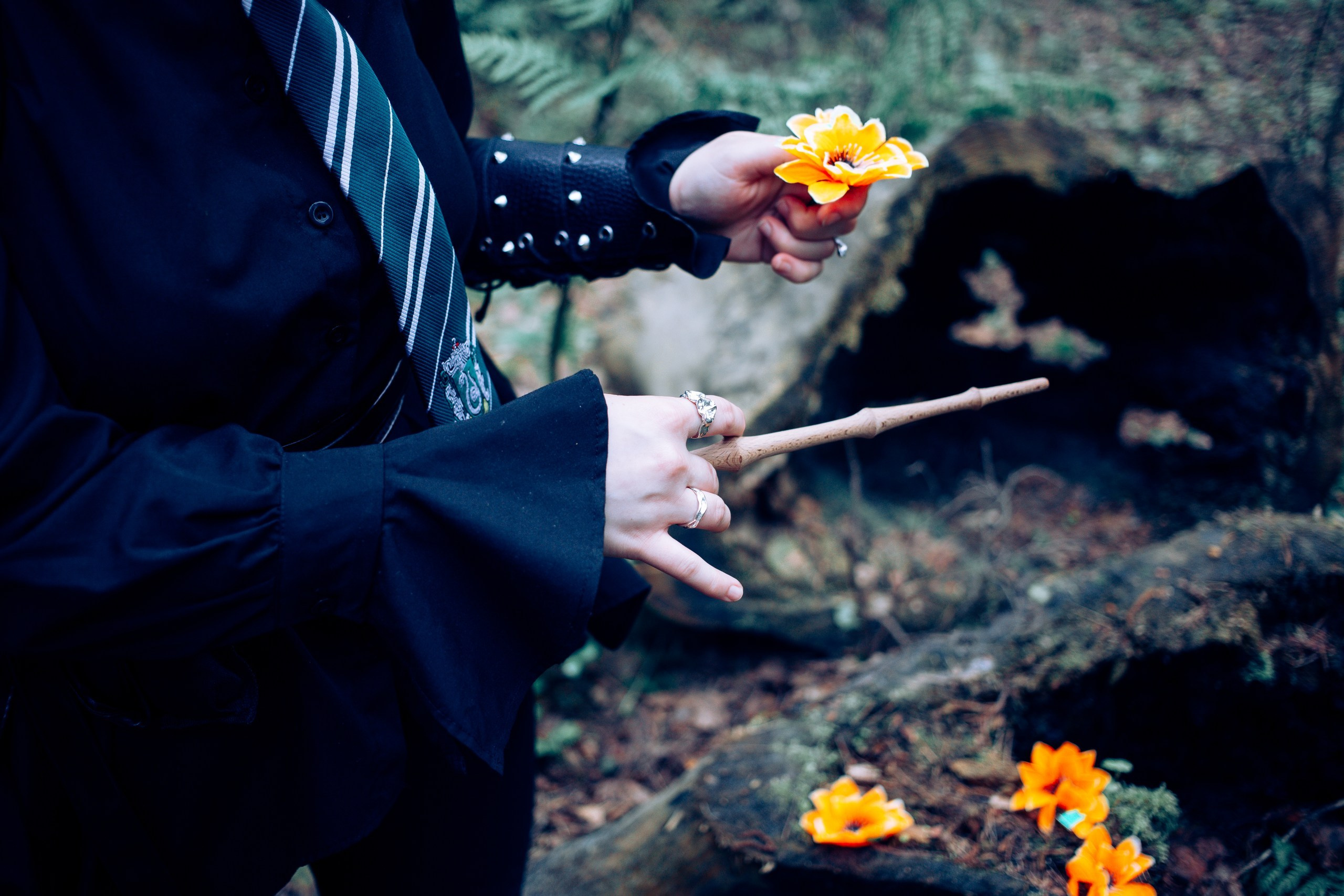 Запретный лес. Репортажный фотограф Анастасия Головко