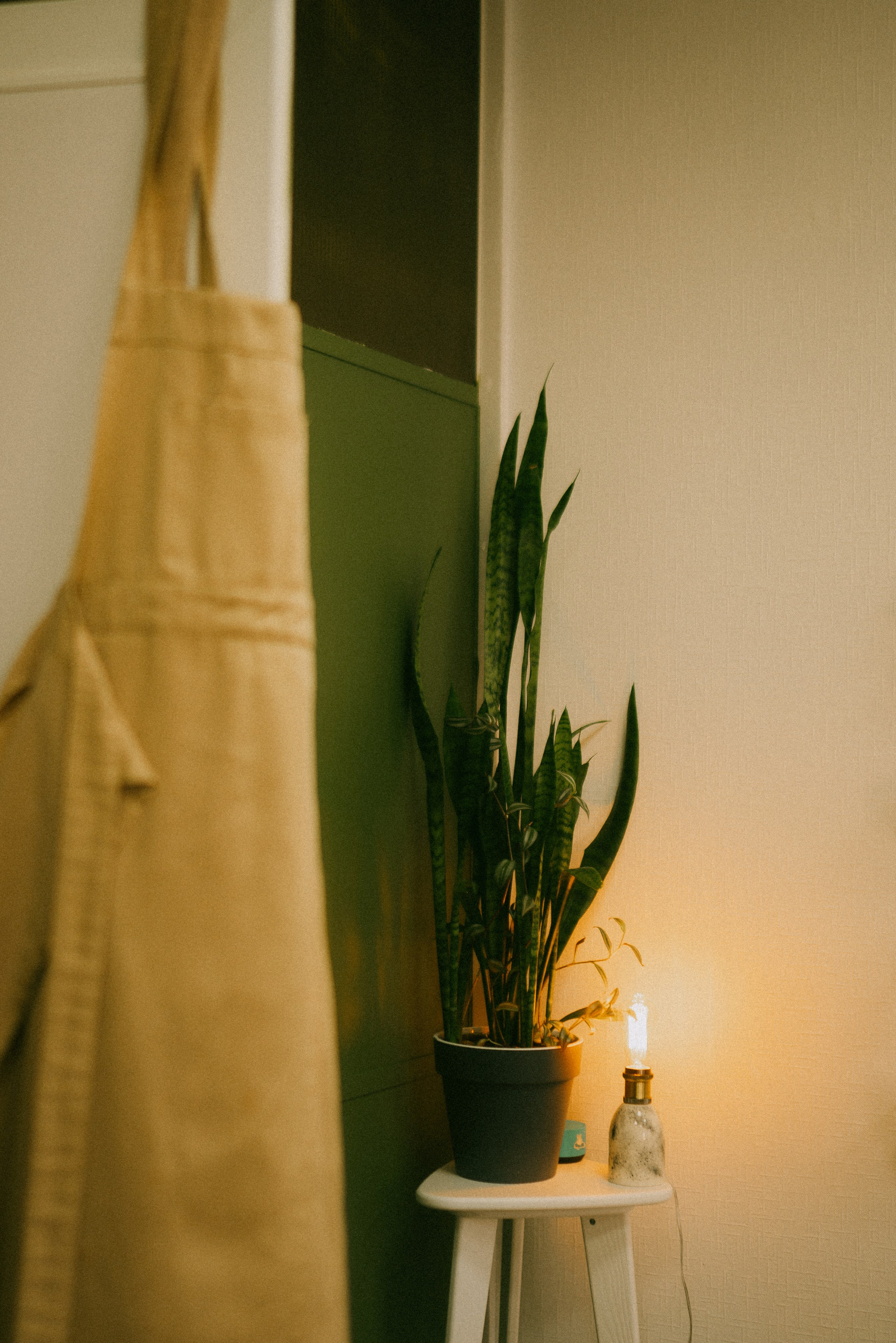 ТУК-ТУК. Портретный фотограф в Москве Ефанова Ульяна. Женский портрет