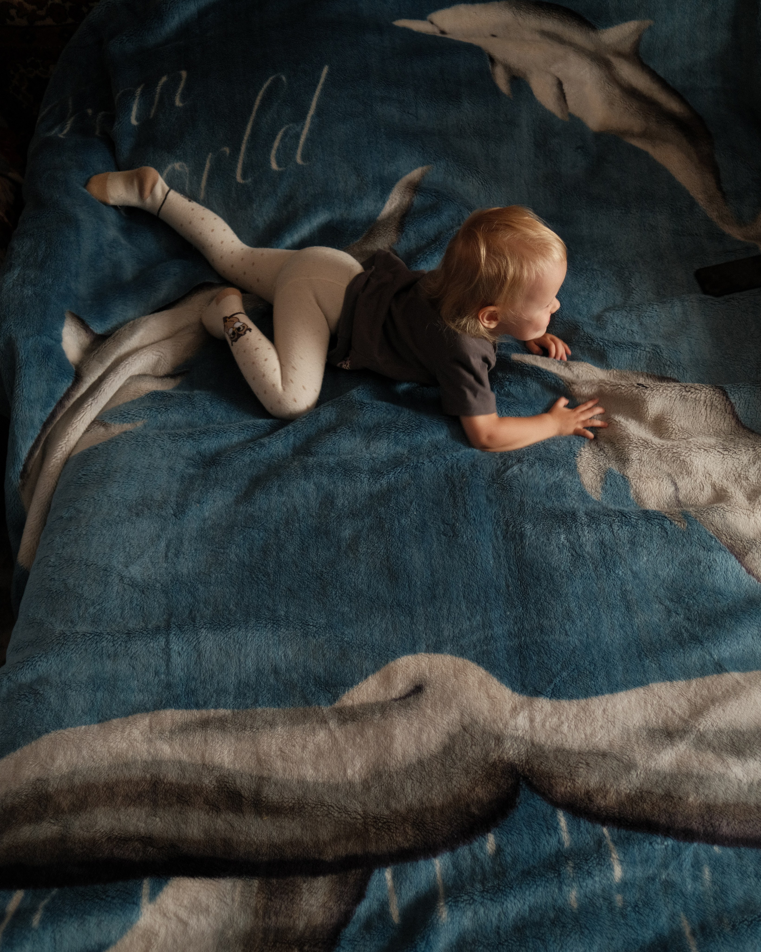 Наблюдения. Семейный фотограф в Новосибирске Артём Кузнецов