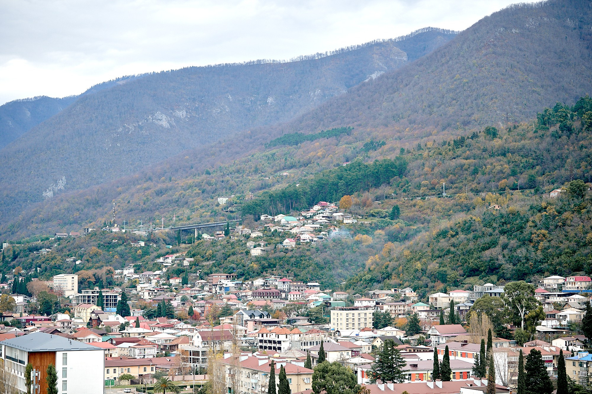 Гагра, Абхазия. Декабрь 2024. Фотографии отовсюду и обо всем