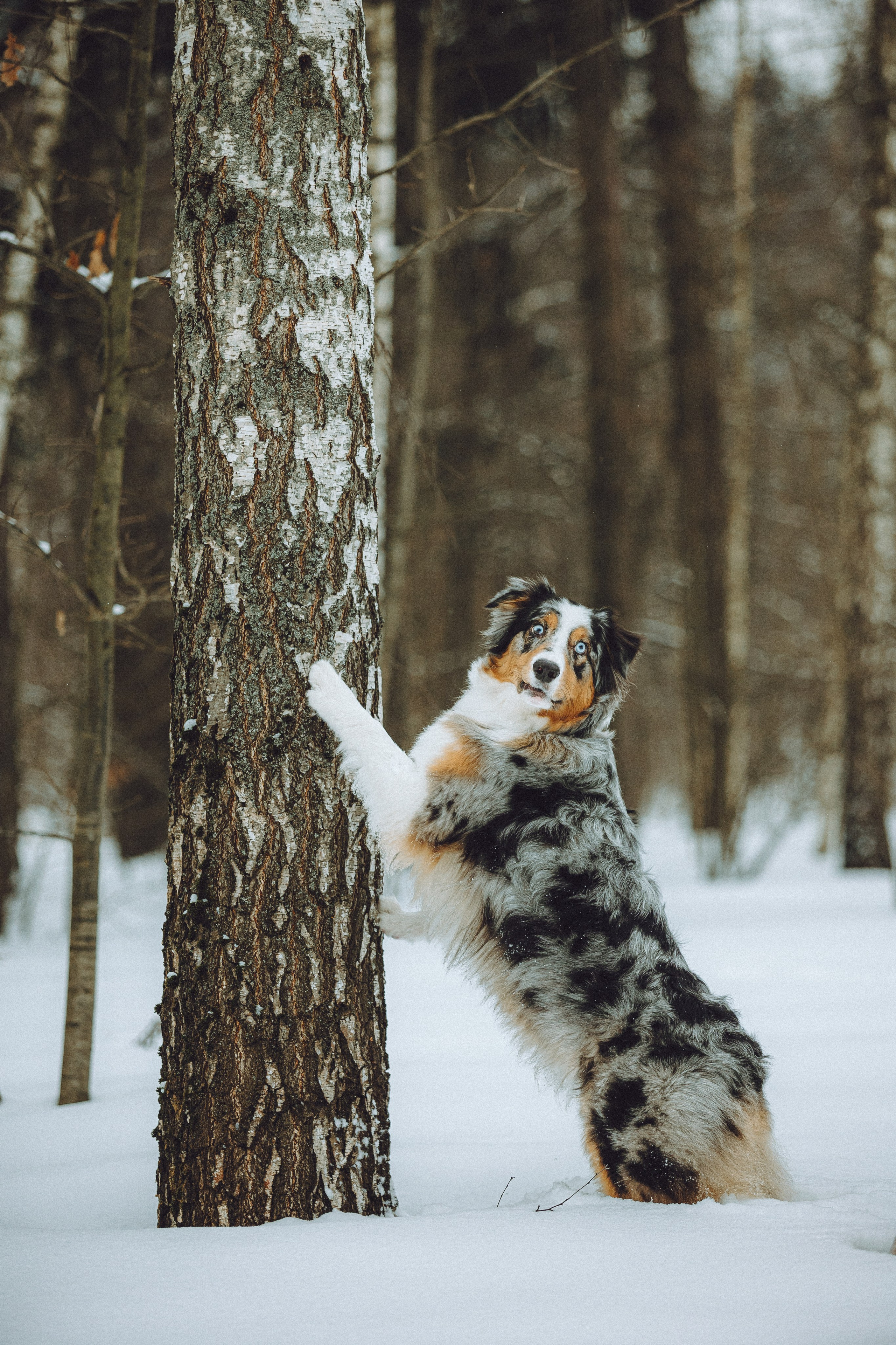 Фаня и ее семья