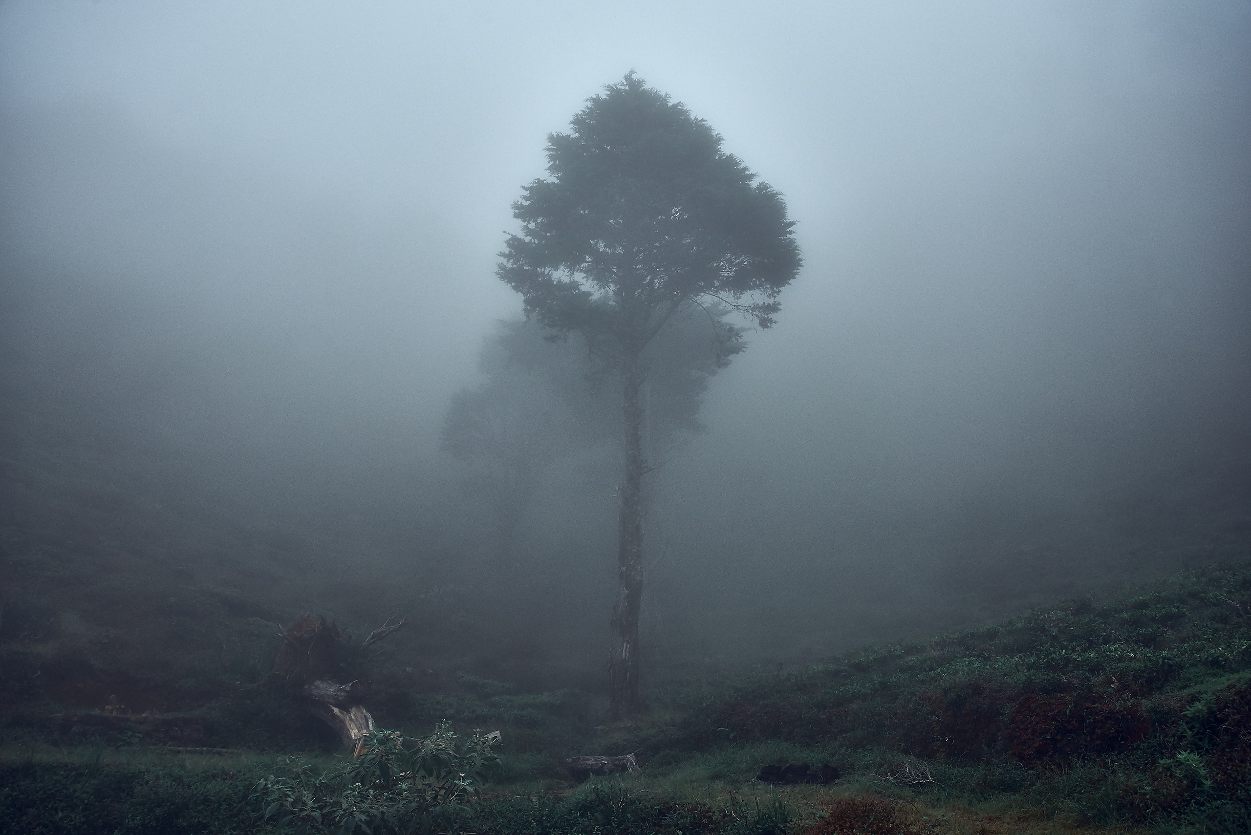 Moto Trip 23-05-19. Никита Хохловский фото и видео продакшн