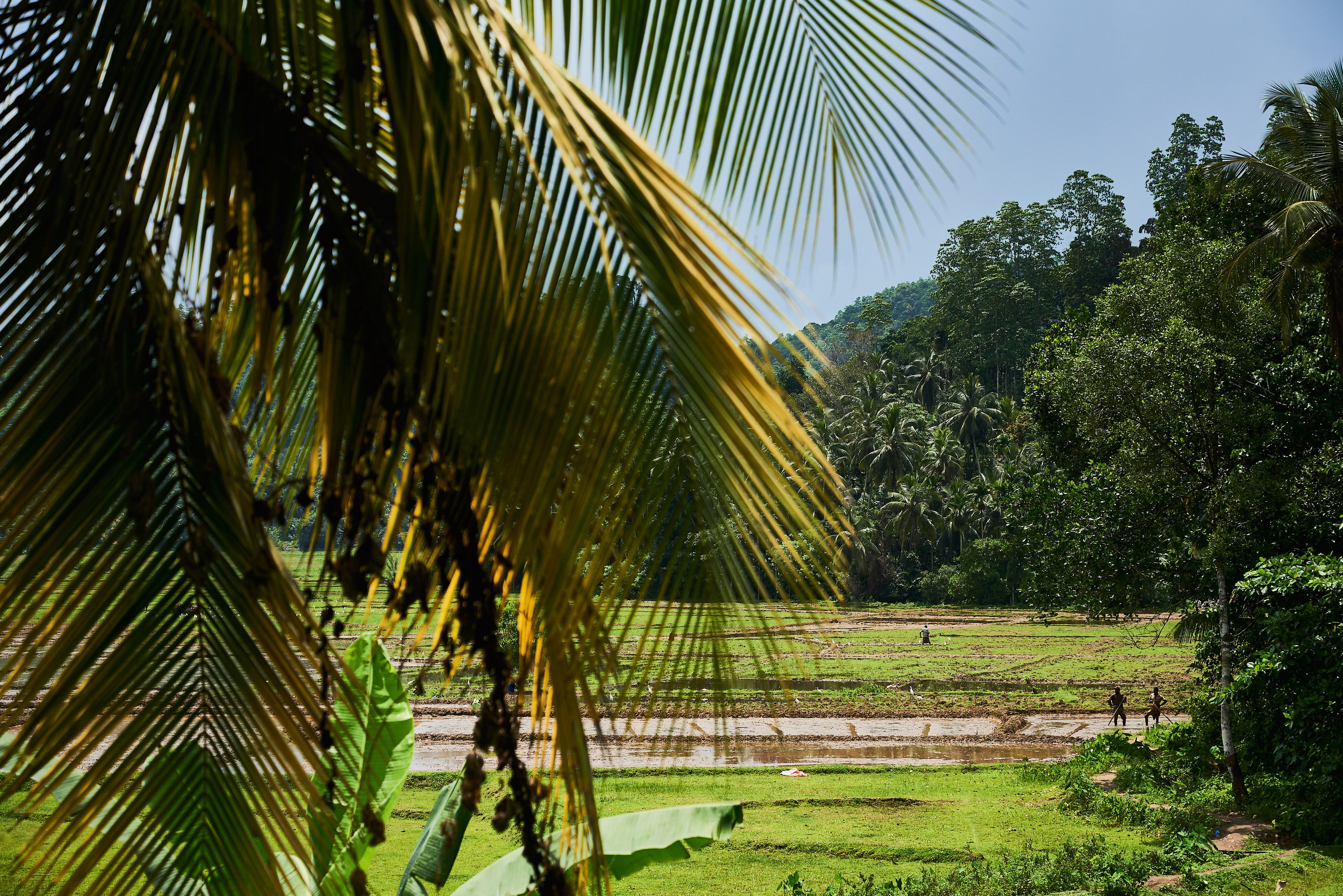 Moto Trip 23-05-19. Никита Хохловский фото и видео продакшн