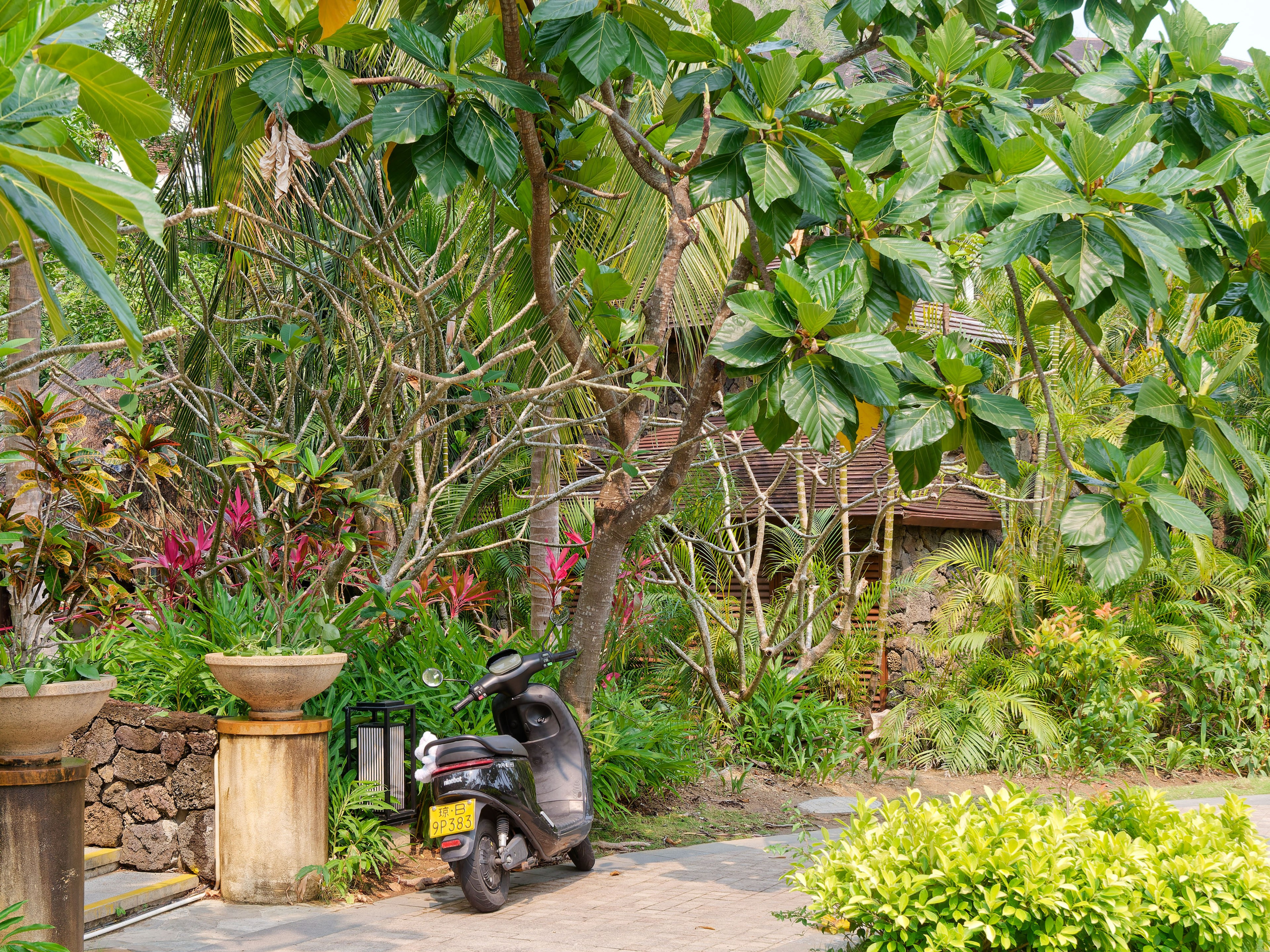 Хайнань 2026, первые впечатления. Фотопрогулки по Миру