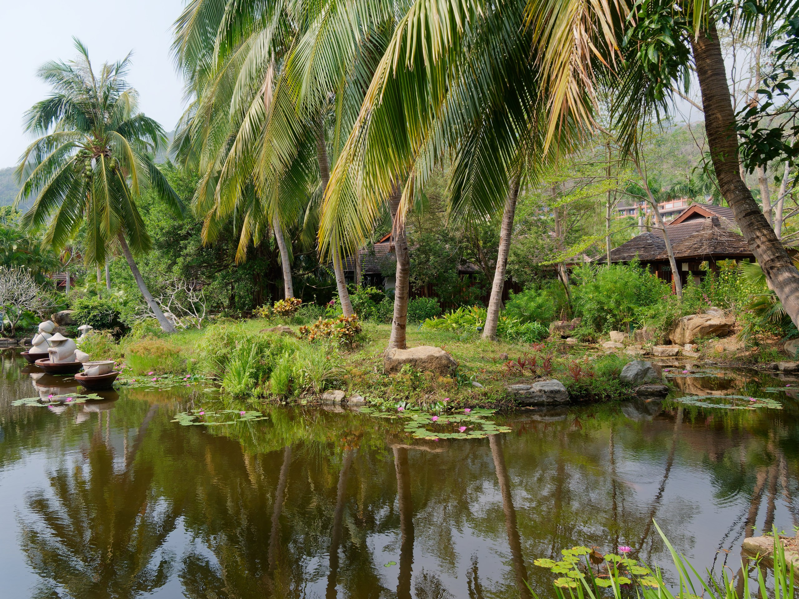 Хайнань 2026, флора, цветы и деревья. Фотопрогулки по Миру