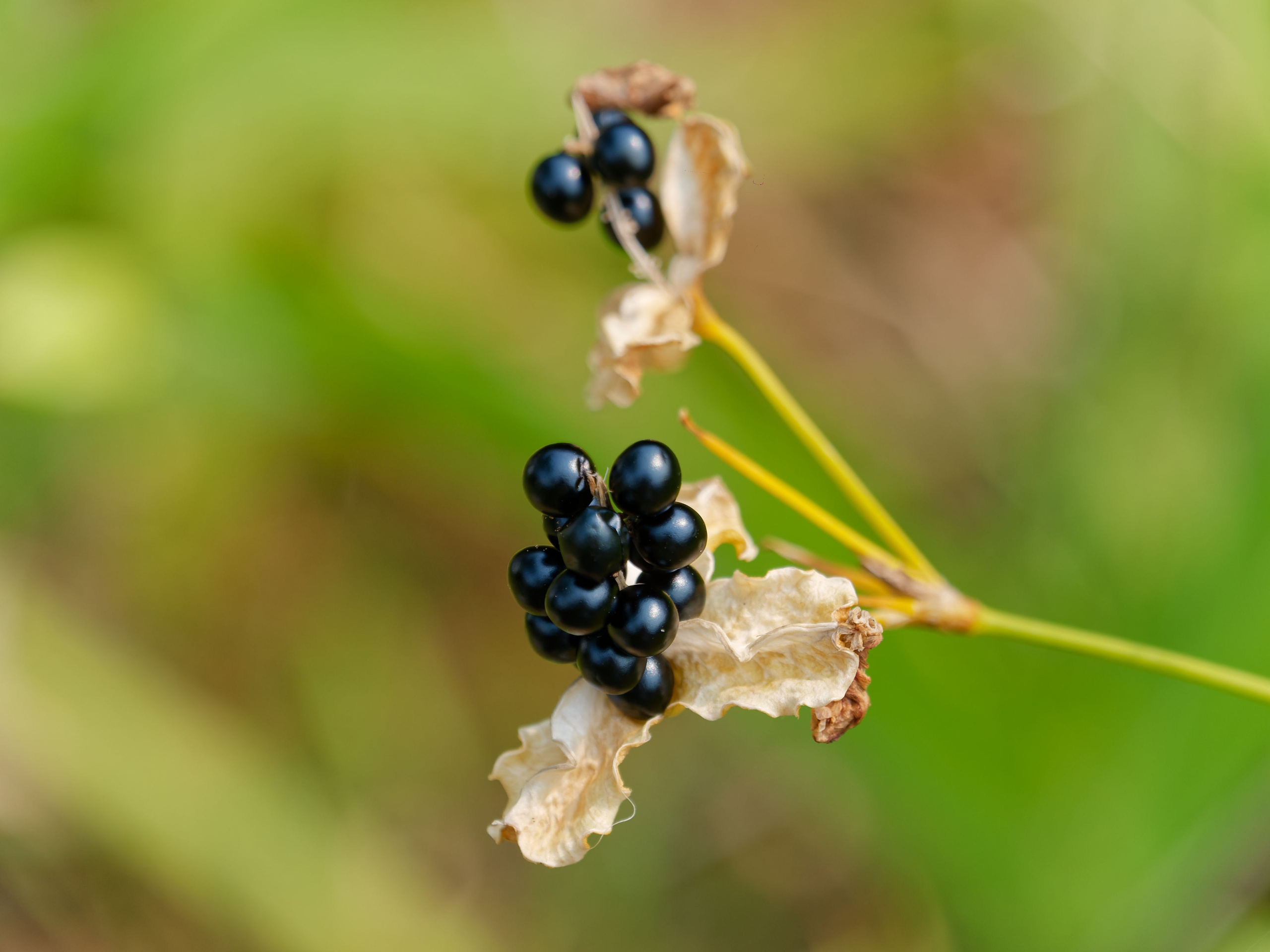Хайнань 2026, первые впечатления. Фотопрогулки по Миру