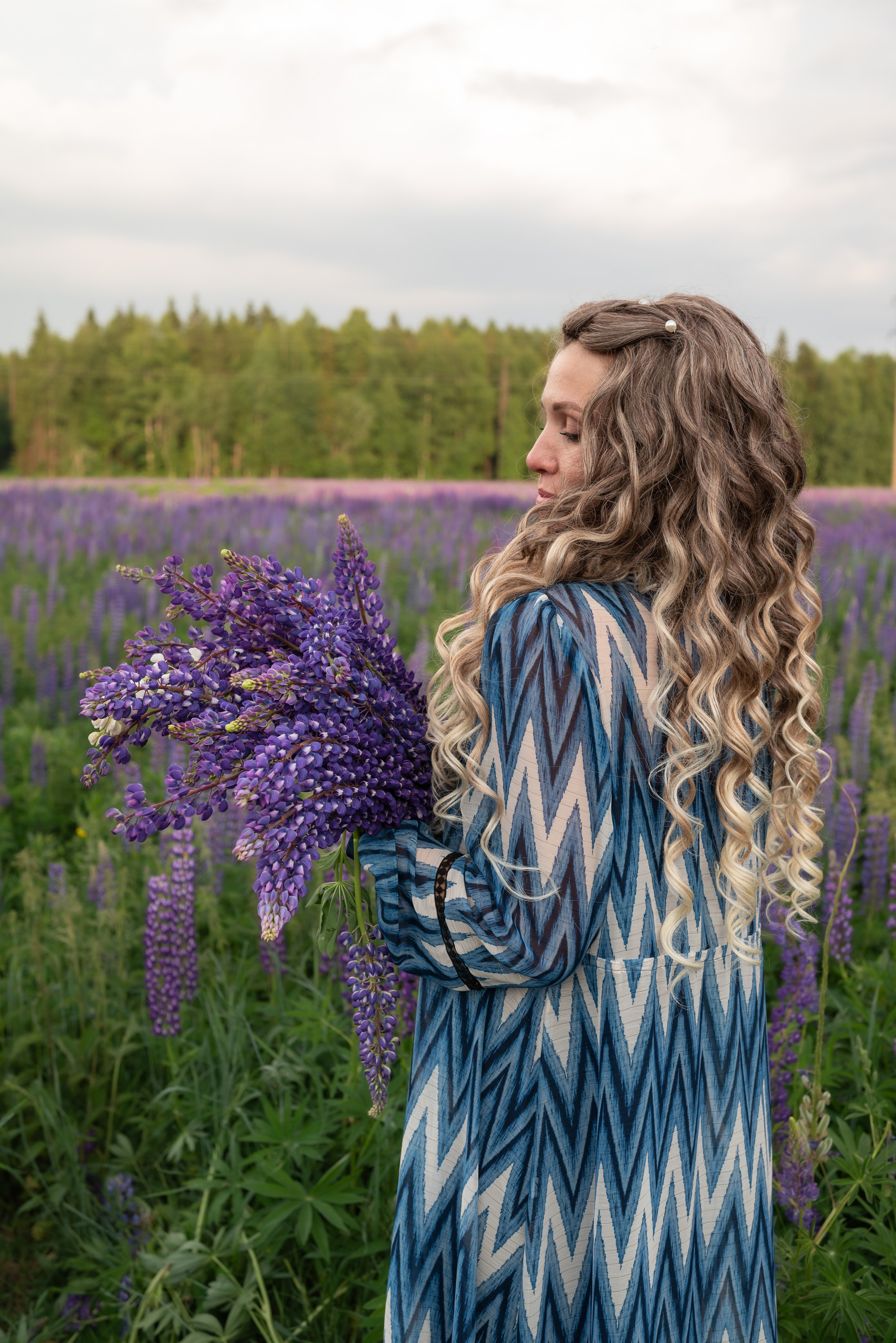 Люпины. Светлана Агалакова Фотограф